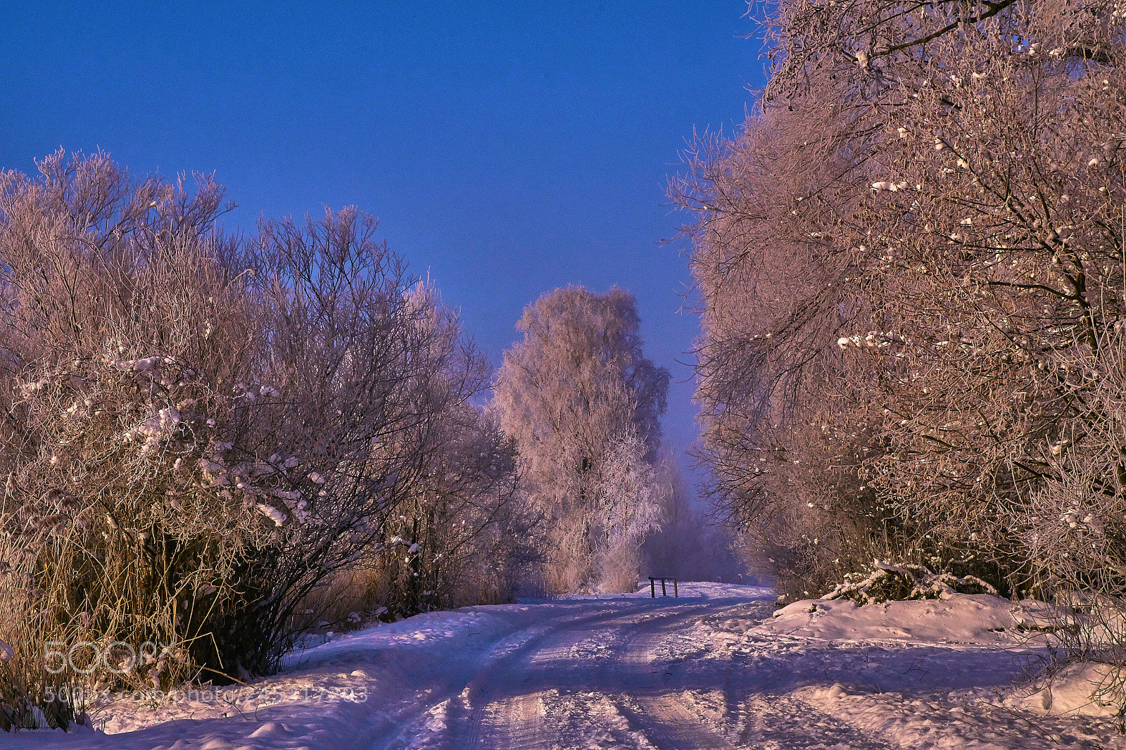 Sony ILCA-77M2 sample photo. Winterwalk photography