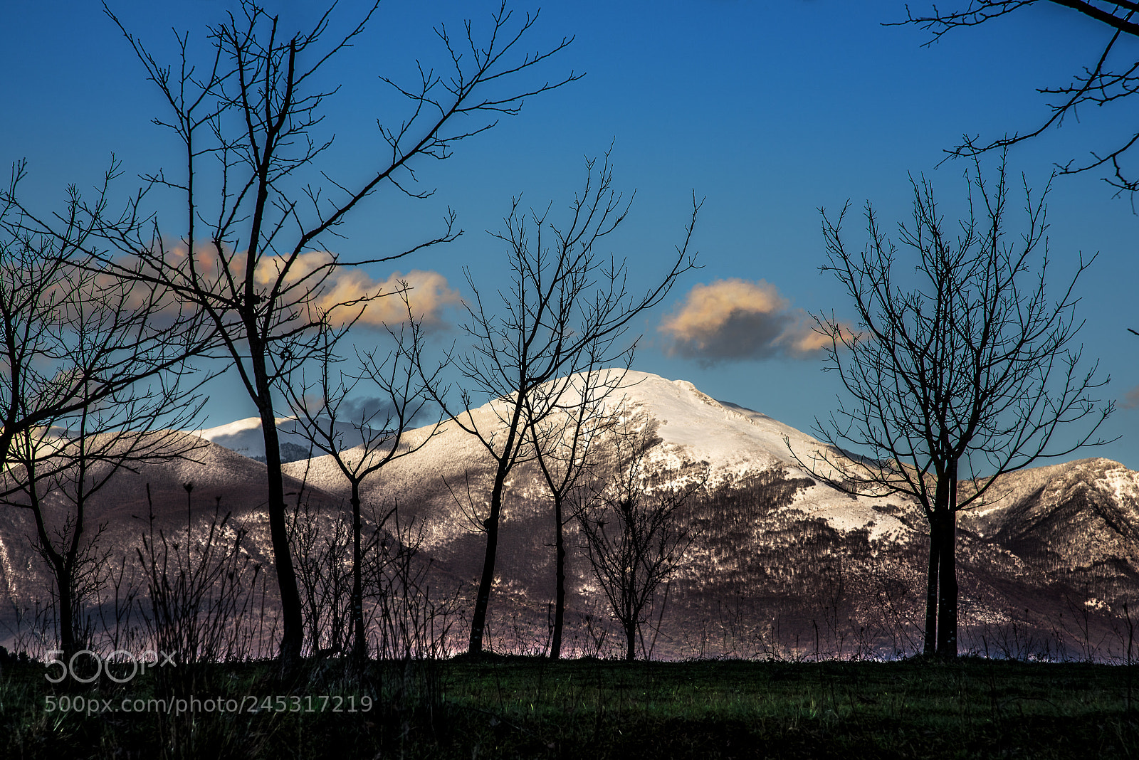 Nikon D810 sample photo. Panorama of the ernici photography