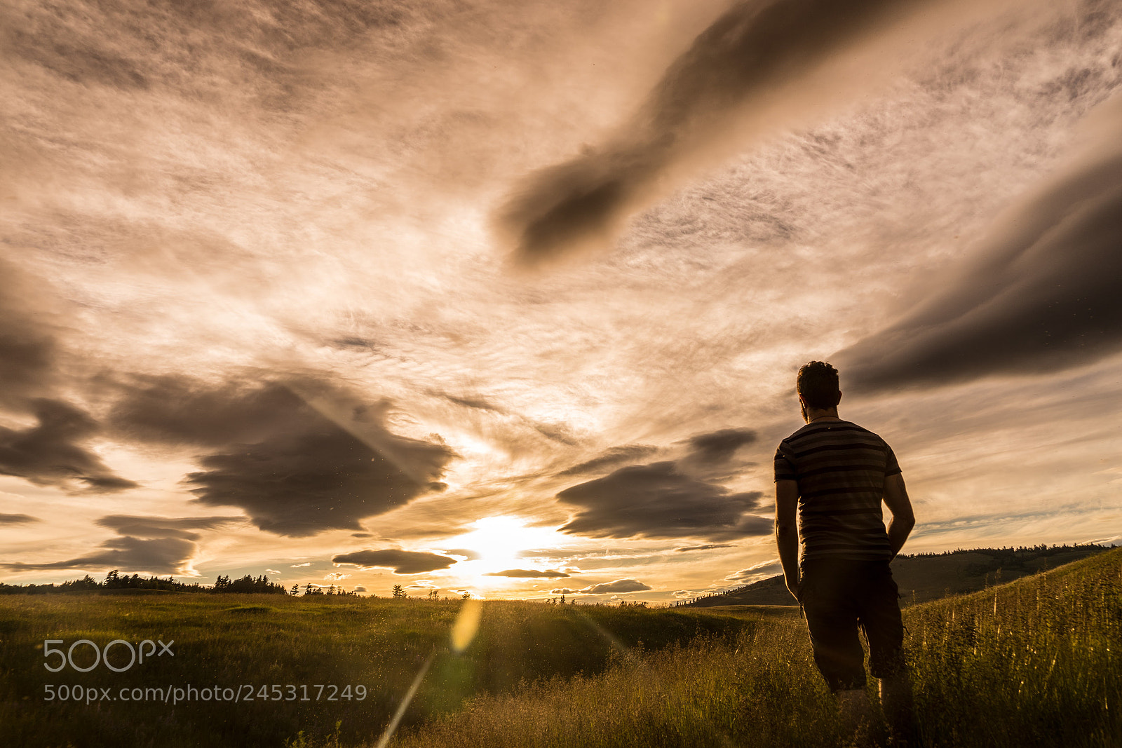 Sony a7 II sample photo. Dsc photography