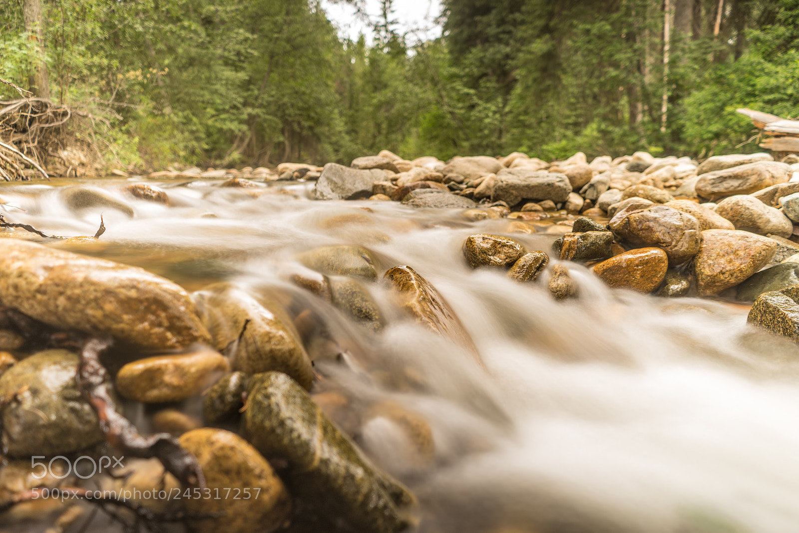 Sony a7 II sample photo. Dsc photography