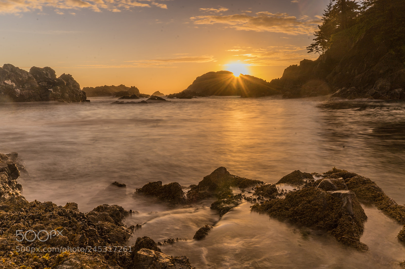 Sony a7 II sample photo. Dsc photography