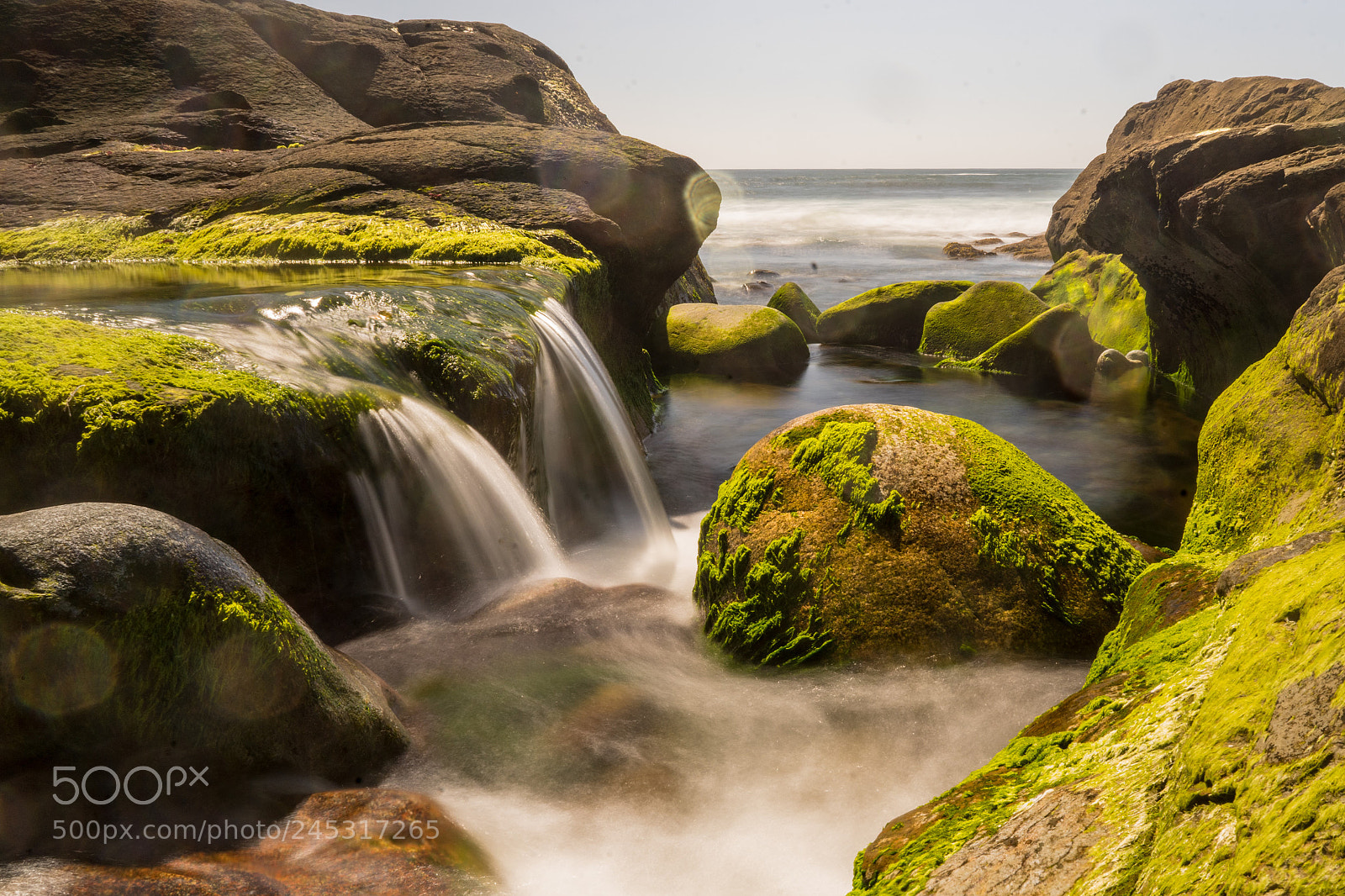 Sony a7 II sample photo. Dsc photography