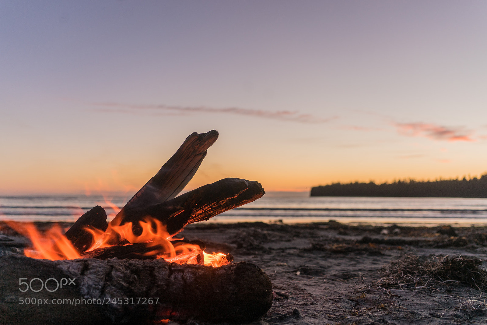 Sony a7 II sample photo. Dsc photography