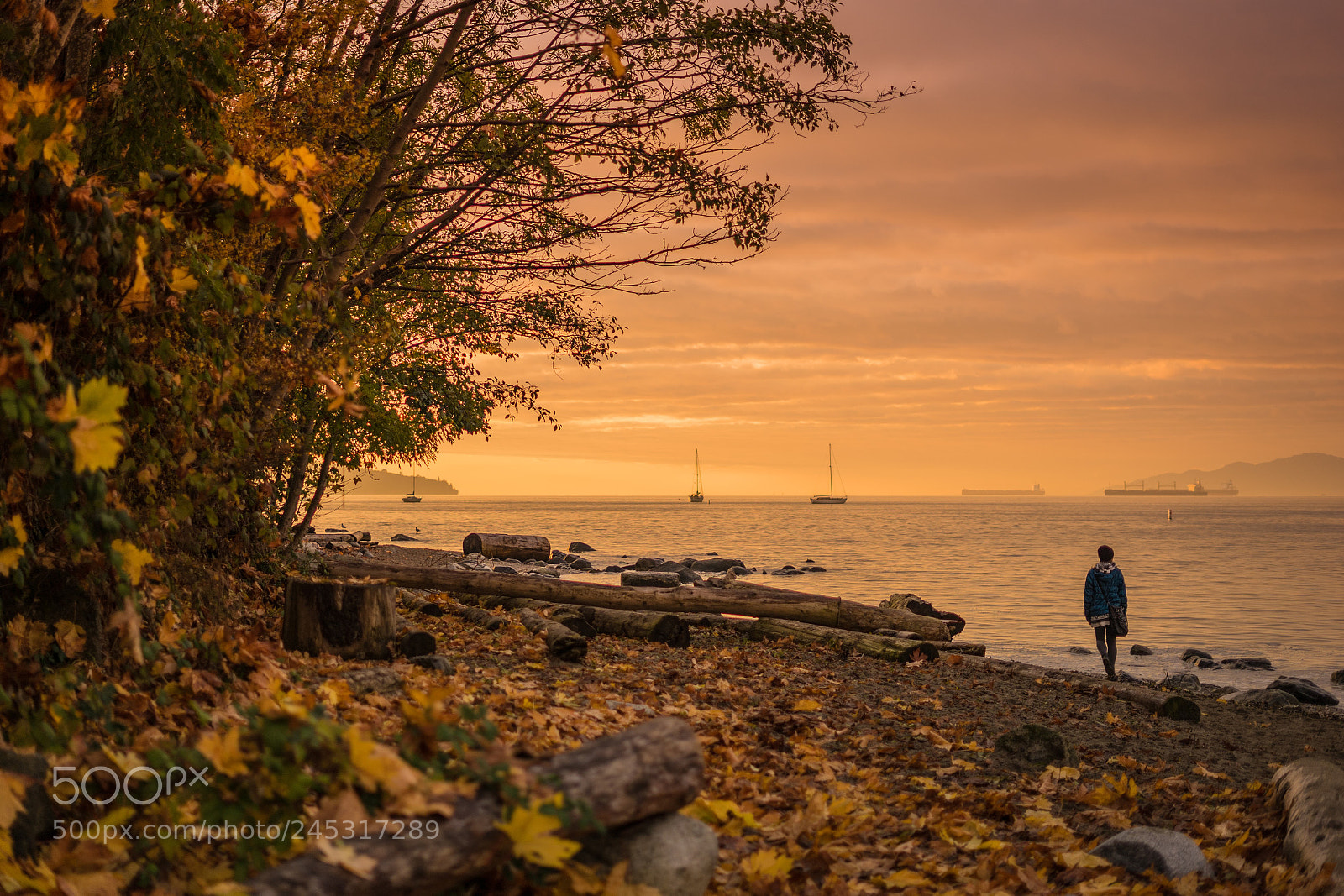 Sony a7 II sample photo. Dsc photography