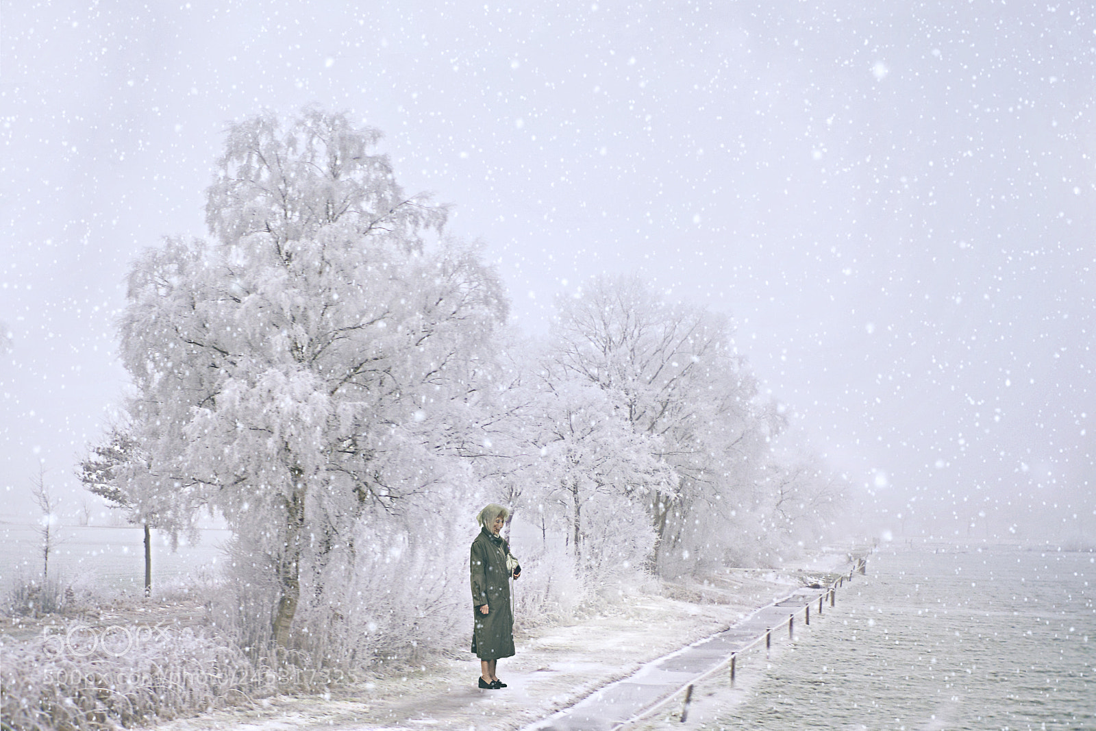 Nikon D5100 sample photo. Let it snow photography