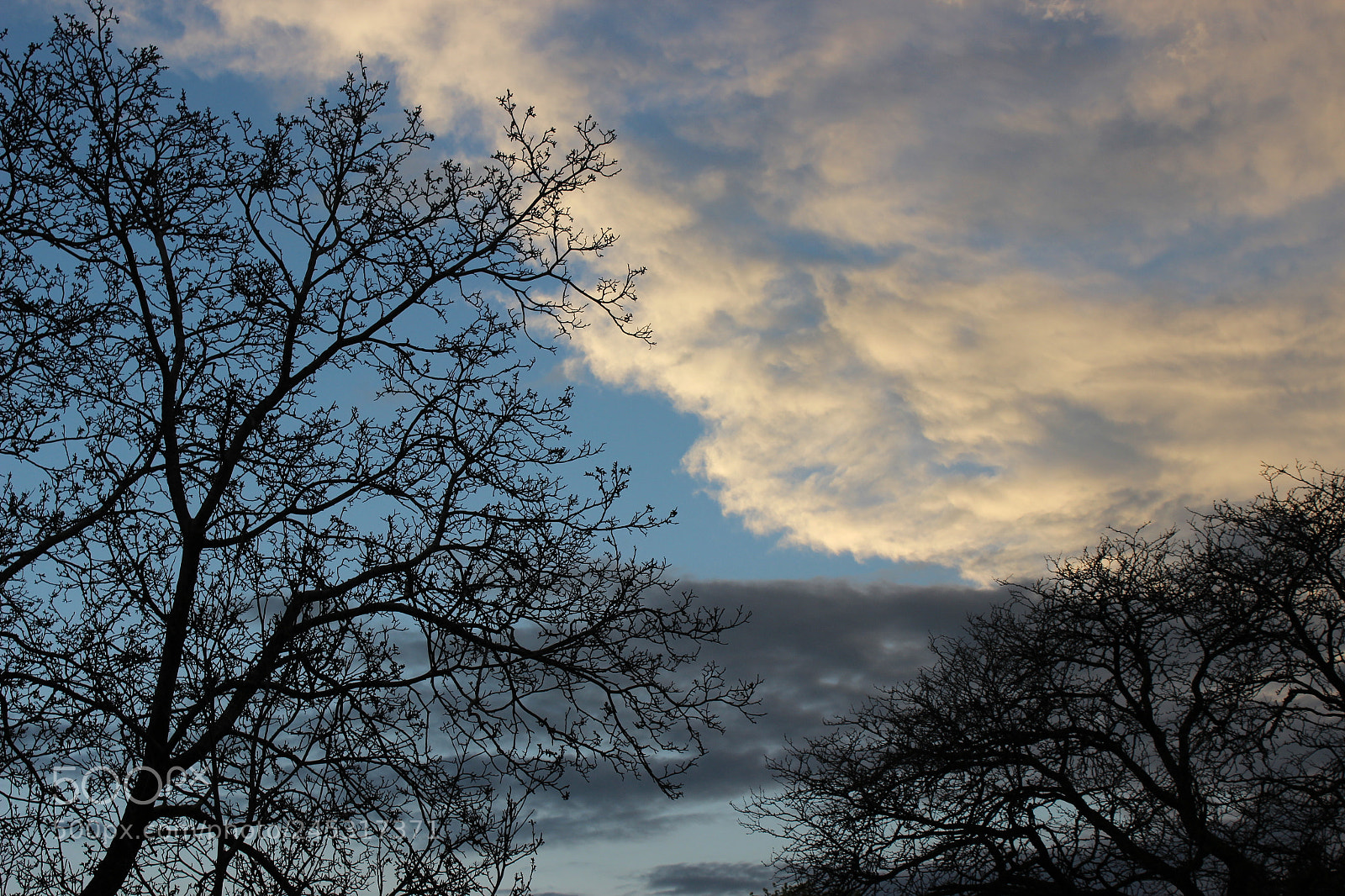 Canon EOS 600D (Rebel EOS T3i / EOS Kiss X5) sample photo. () photography