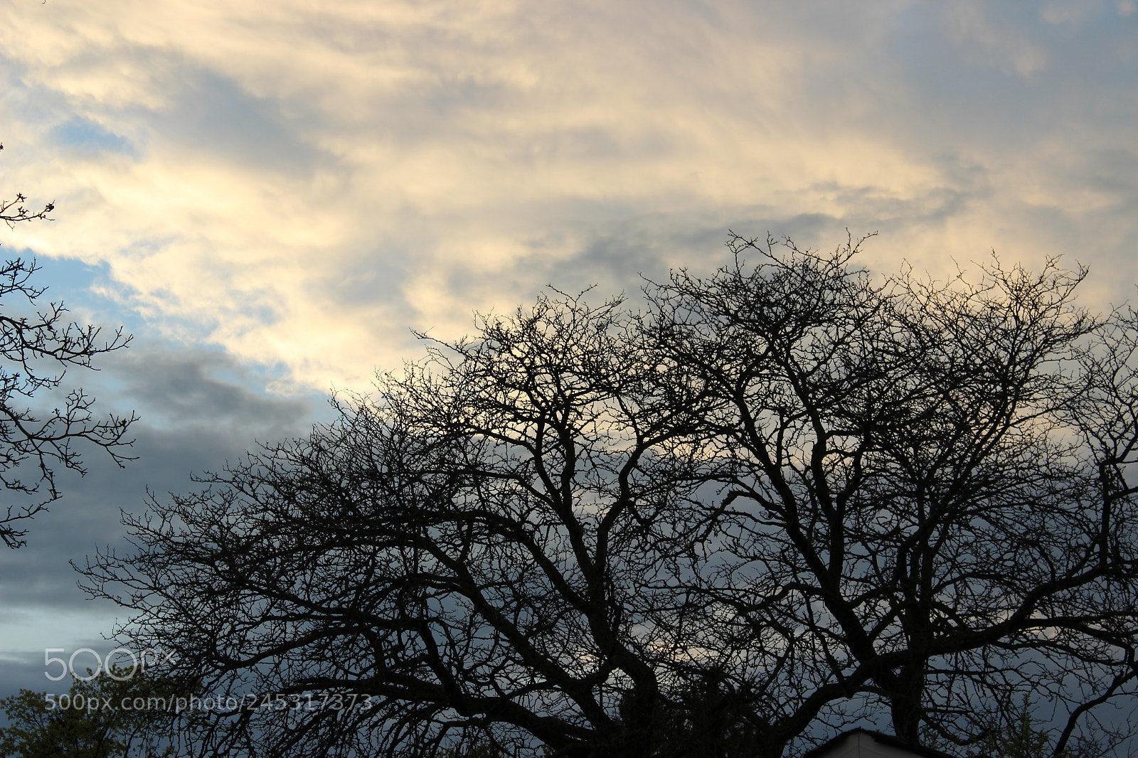Canon EOS 600D (Rebel EOS T3i / EOS Kiss X5) sample photo. Img photography
