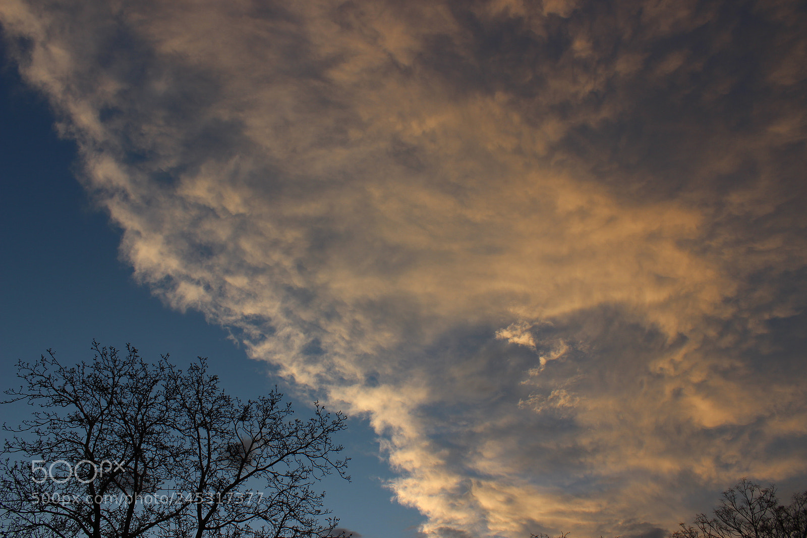 Canon EOS 600D (Rebel EOS T3i / EOS Kiss X5) sample photo. Img photography