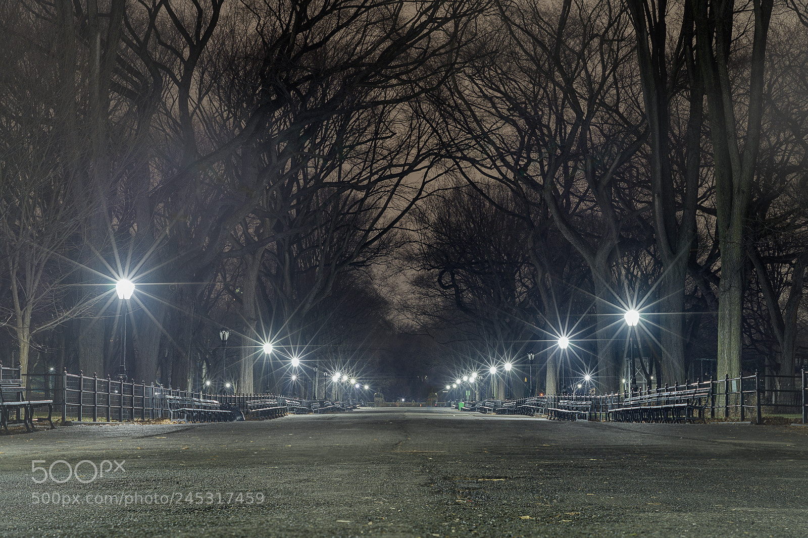 Nikon D850 sample photo. The mall photography