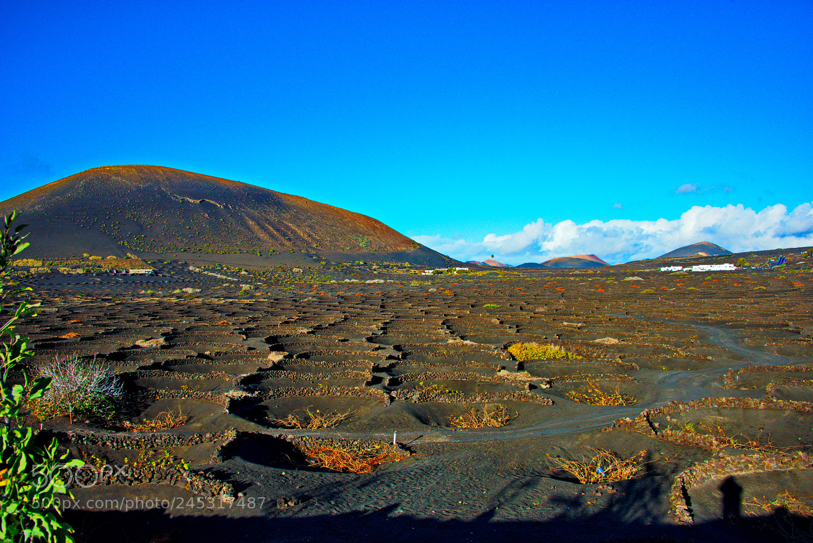 Nikon D800 sample photo. Vineyards and volcanos in photography