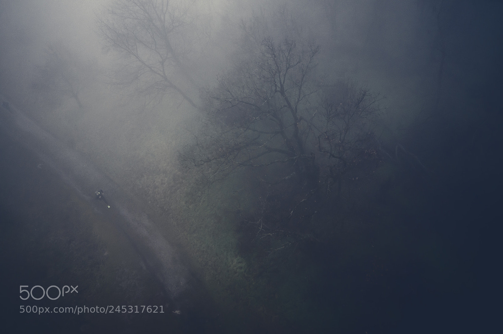 Sony SLT-A57 sample photo. Misty run photography