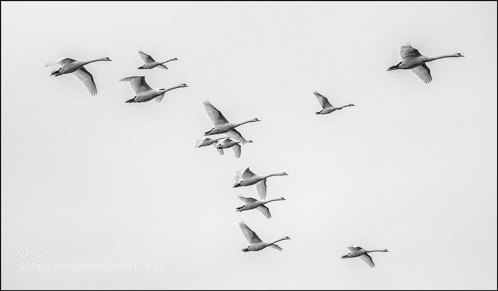 Panasonic Lumix DMC-GH4 sample photo. Flying in formation photography