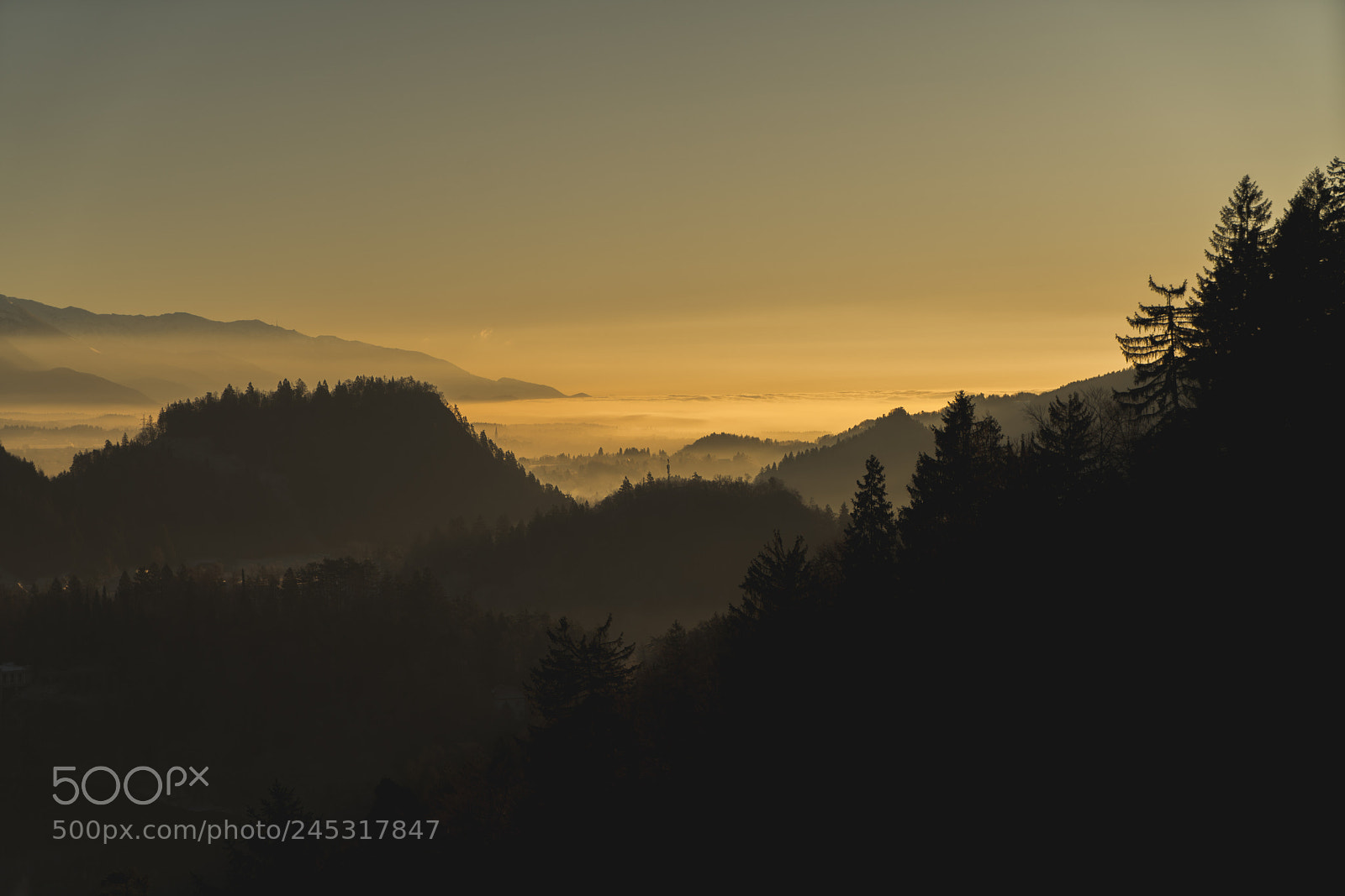 Sony a7R II sample photo. Layers photography