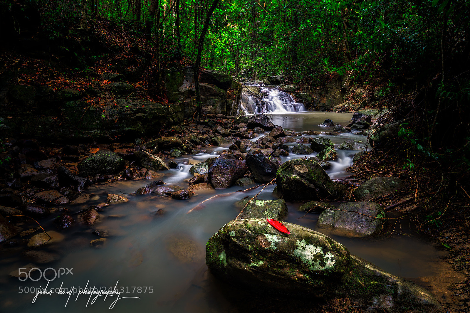 Sony a7 II sample photo. Forrest stream photography