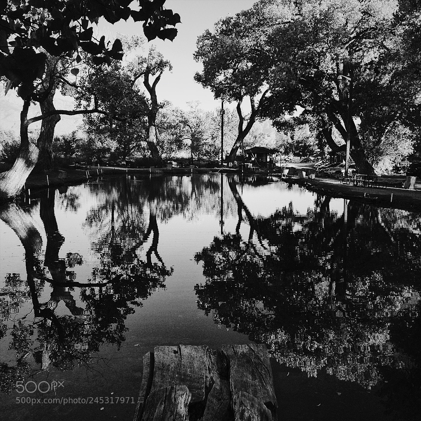 Apple iPhone 5s sample photo. Shady lakes albuquerque nm photography