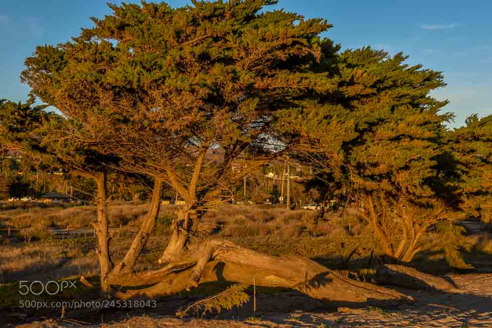 Nikon D810 sample photo. Sunset bathed! photography