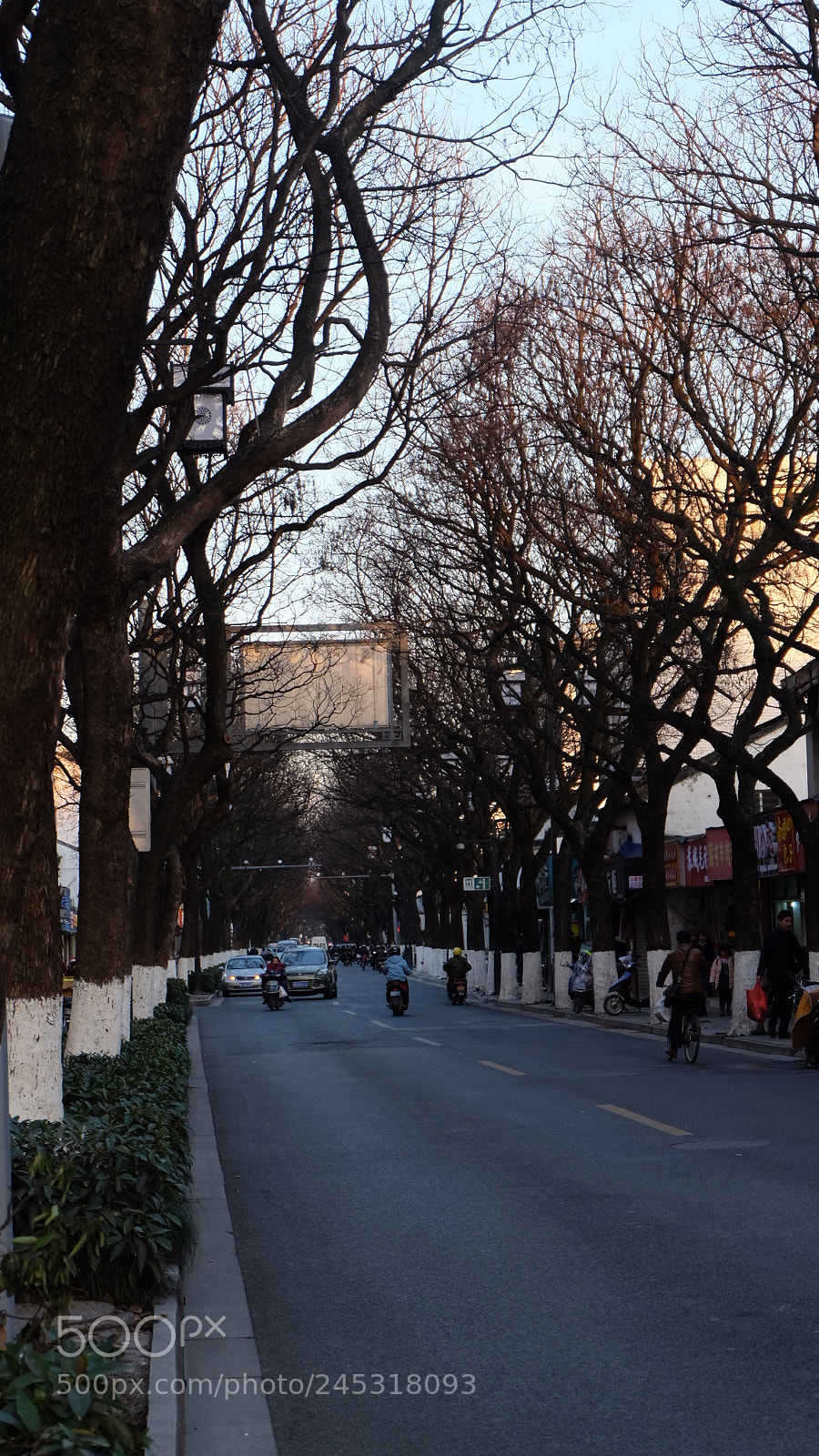 Fujifilm X-T10 sample photo. Untitled photography