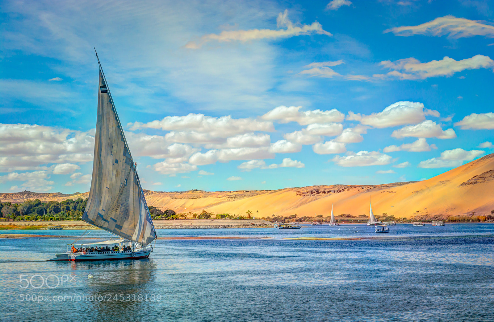 Nikon D5200 sample photo. The nile in aswan photography