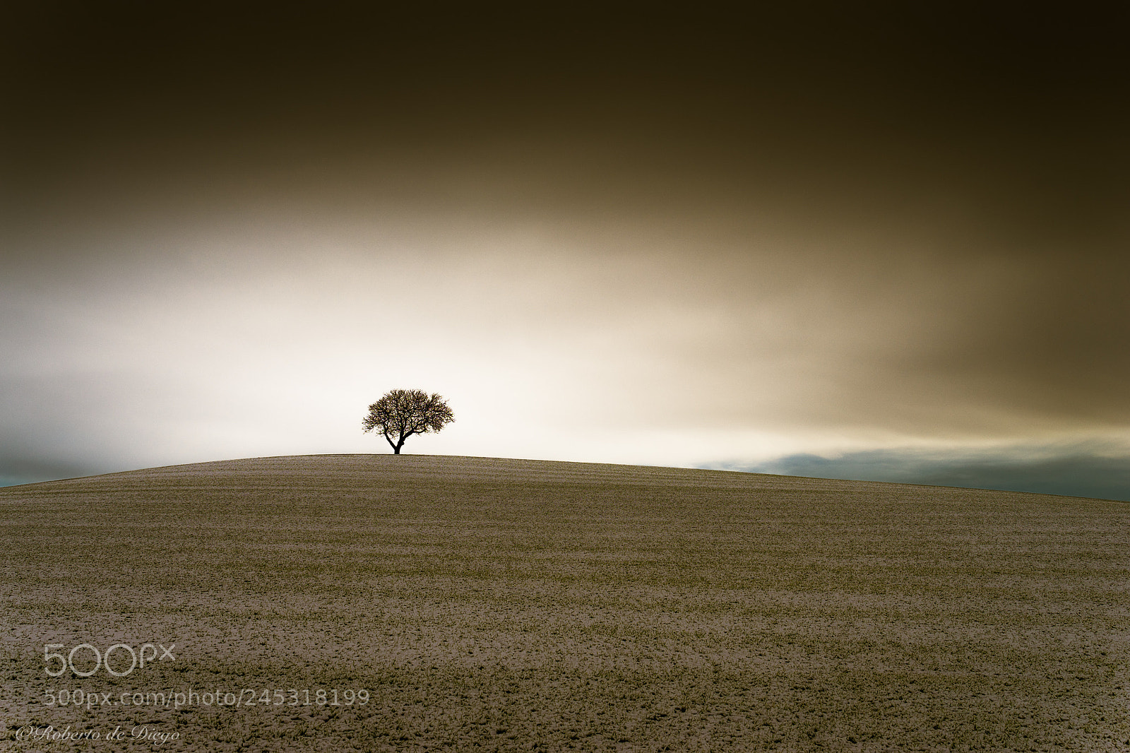 Sony a7 II sample photo. Dando calor al desamparado. photography