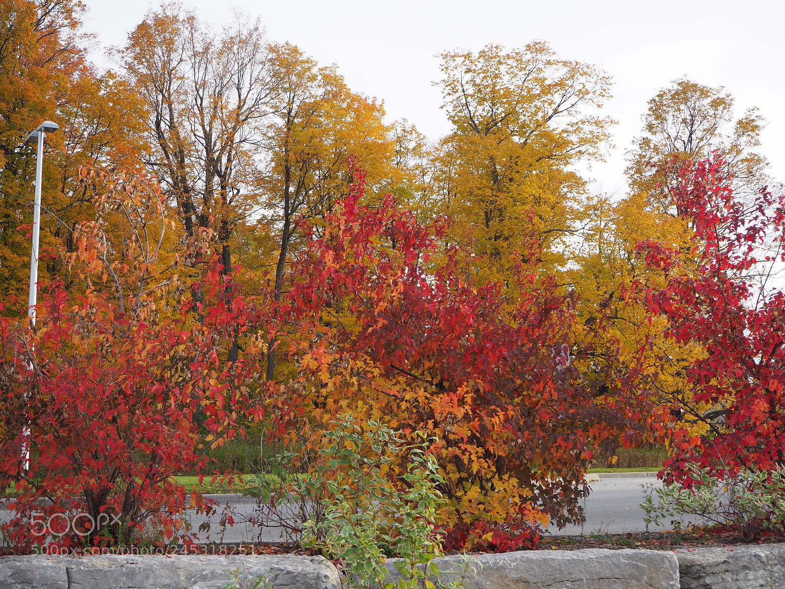 Olympus OM-D E-M10 II sample photo. Fall in ottawa photography