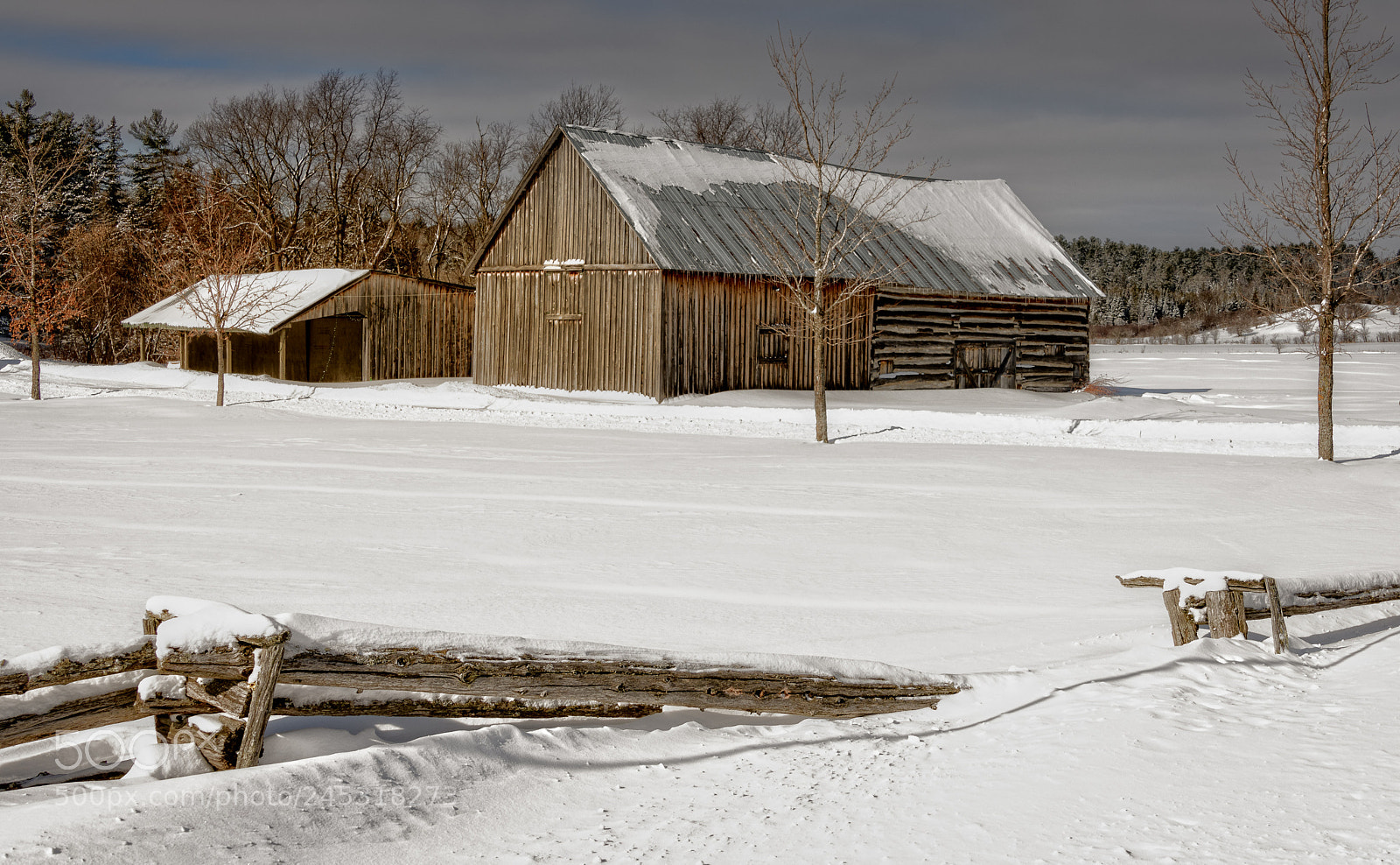 Nikon D850 sample photo. Winter rural scene photography