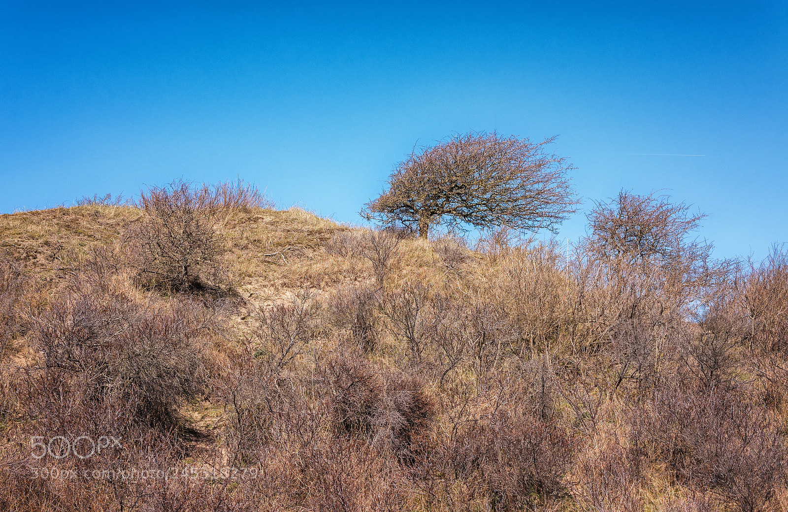 Nikon D7100 sample photo. Before the wind photography