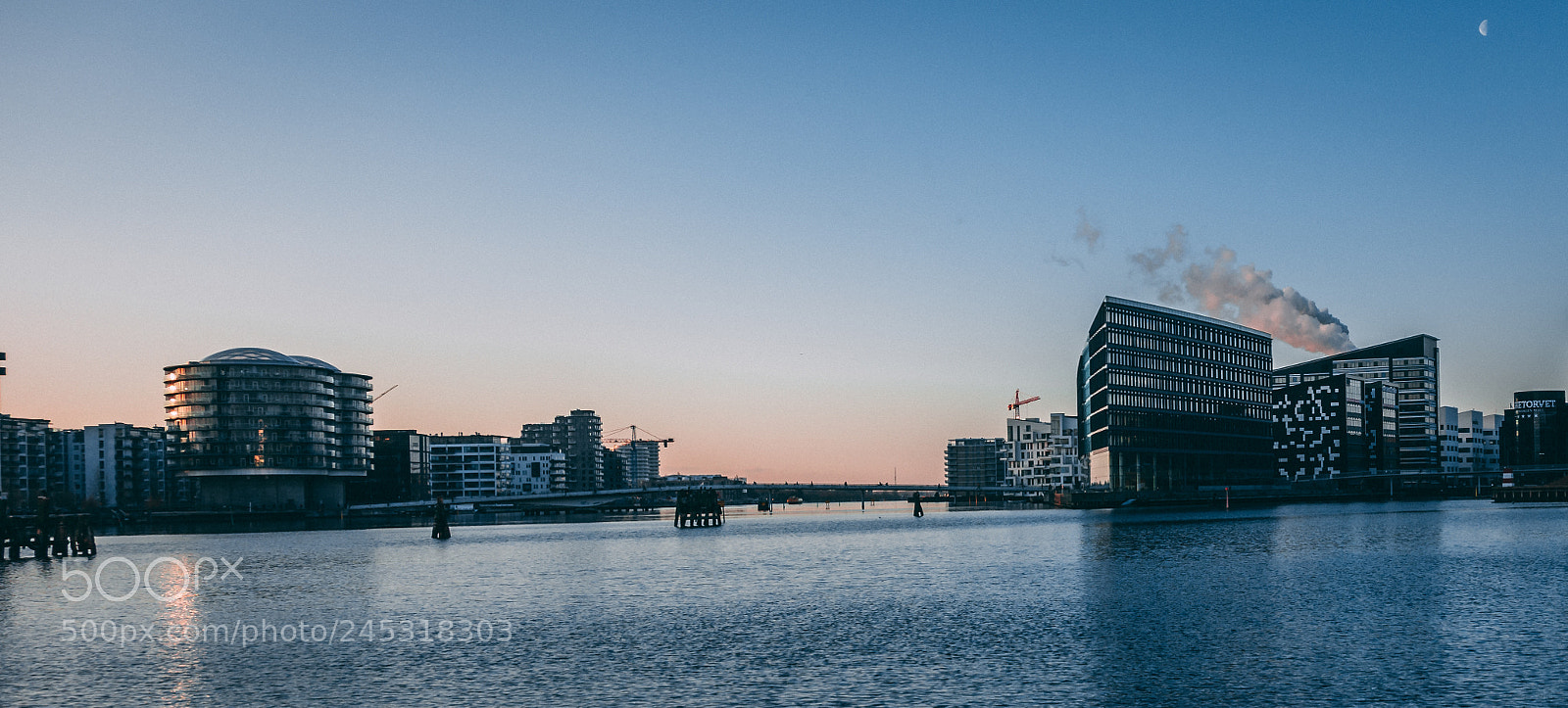 Sony Cyber-shot DSC-RX100 sample photo. Copenhagen bridge photography