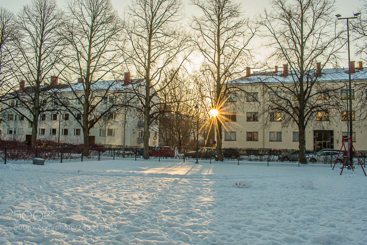 Nikon D3400 sample photo. Sunny morning photography