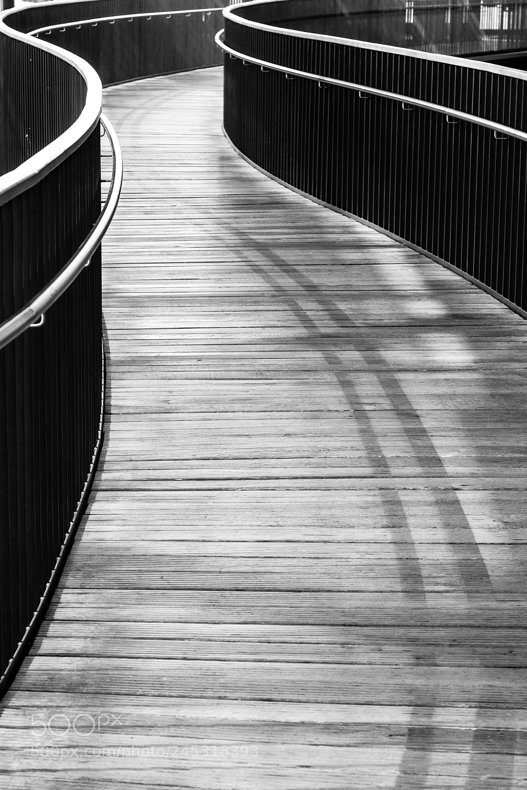 Canon EOS 5D sample photo. Lines & shadows photography