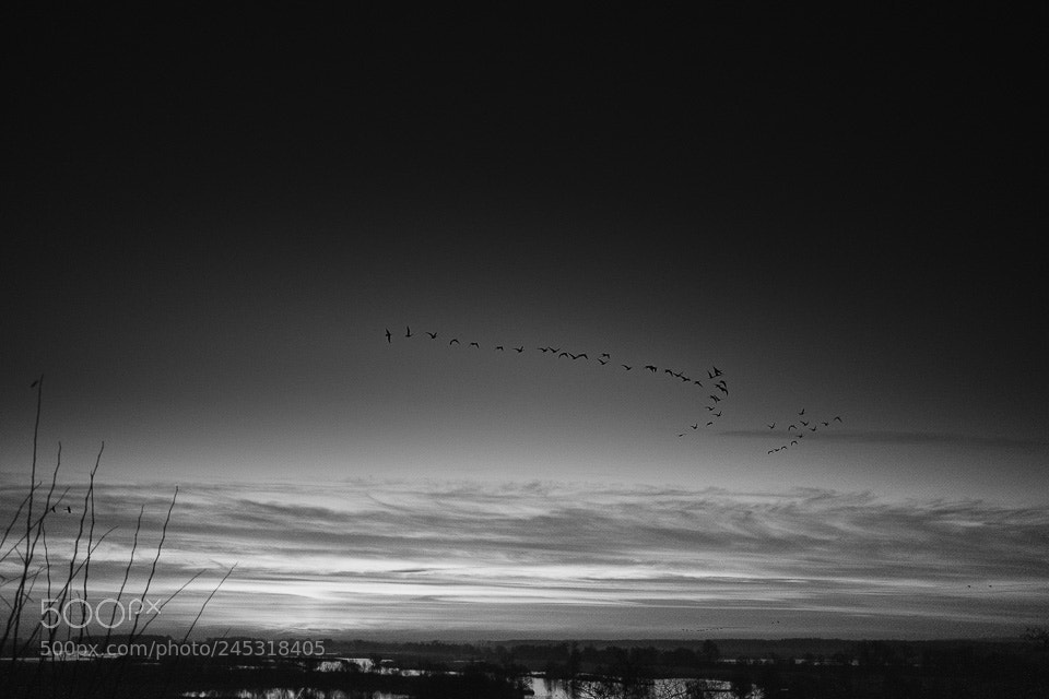 Fujifilm X-Pro2 sample photo. Projekt bw/2018 photography