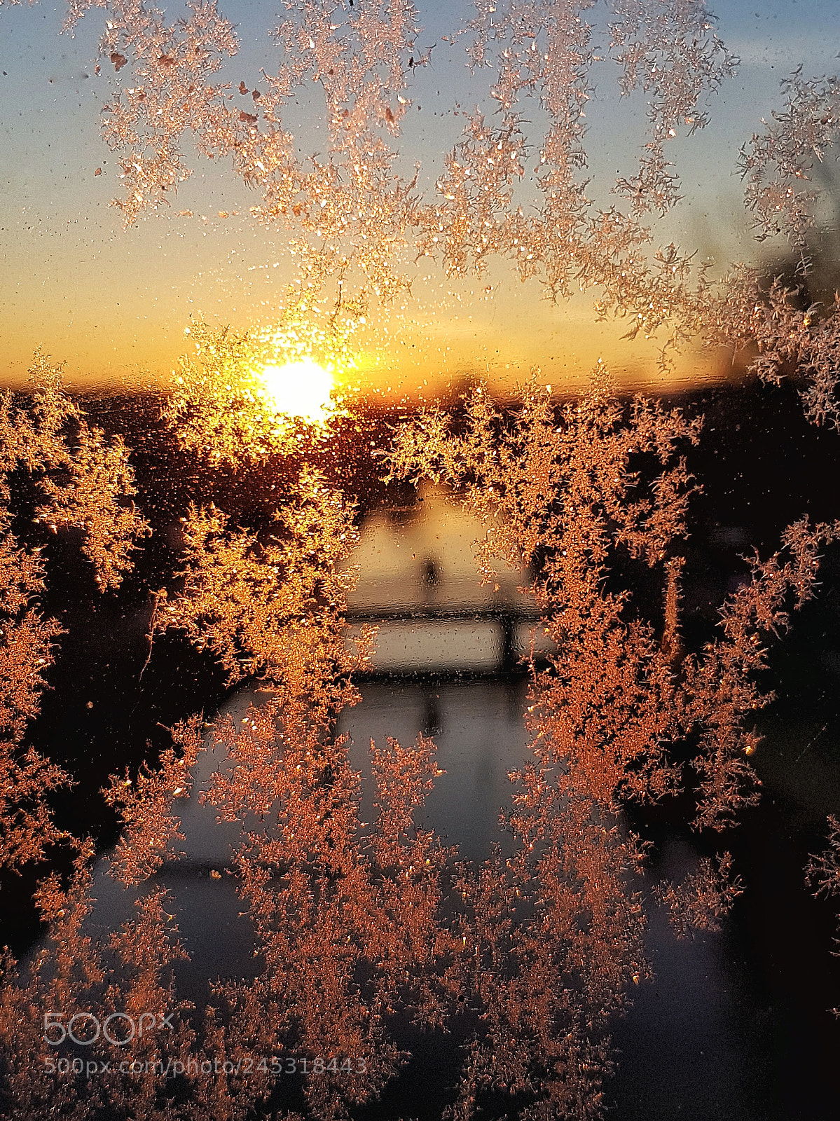 Samsung Galaxy S7 sample photo. Frosty sunrise photography