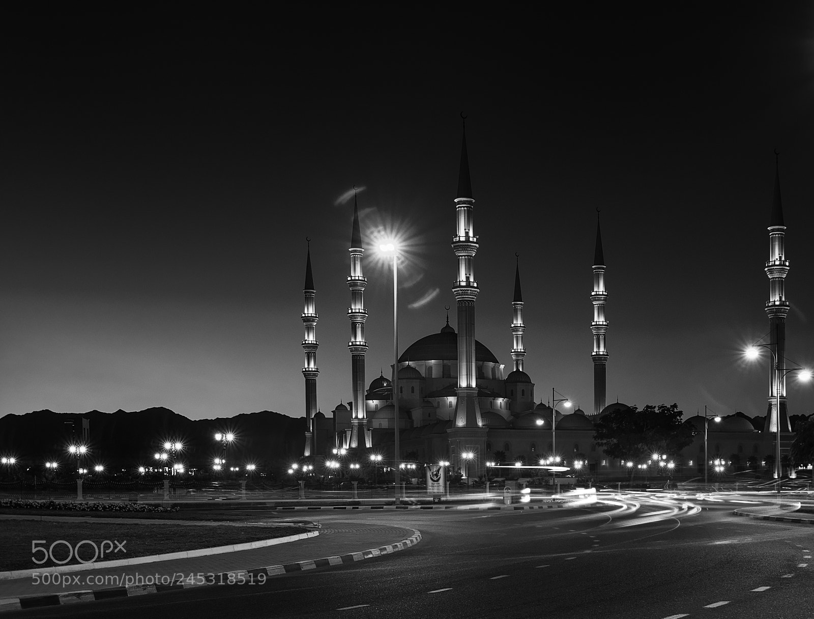 Nikon D810 sample photo. Graceful photography
