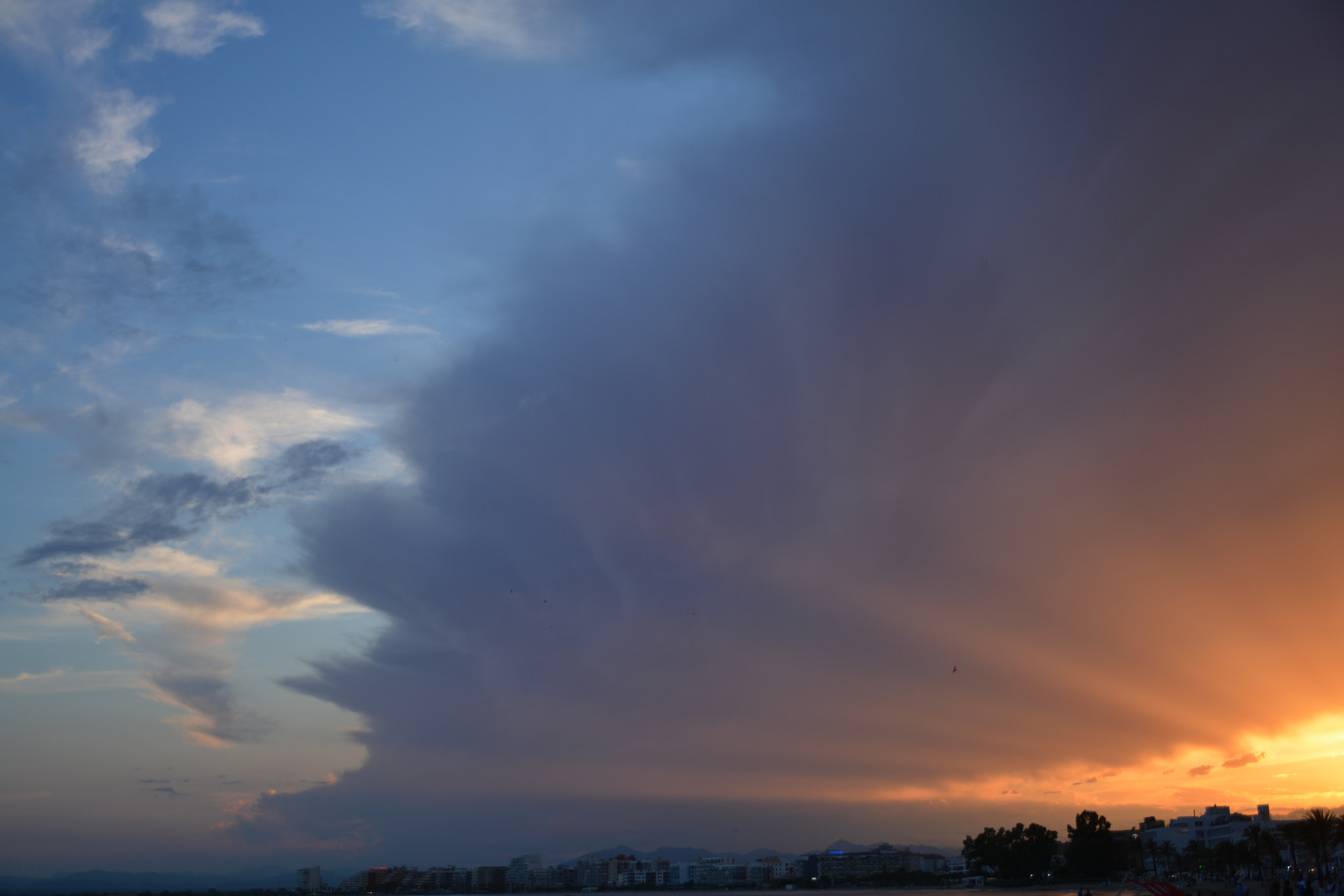 Nikon D5200 sample photo. Light game photography