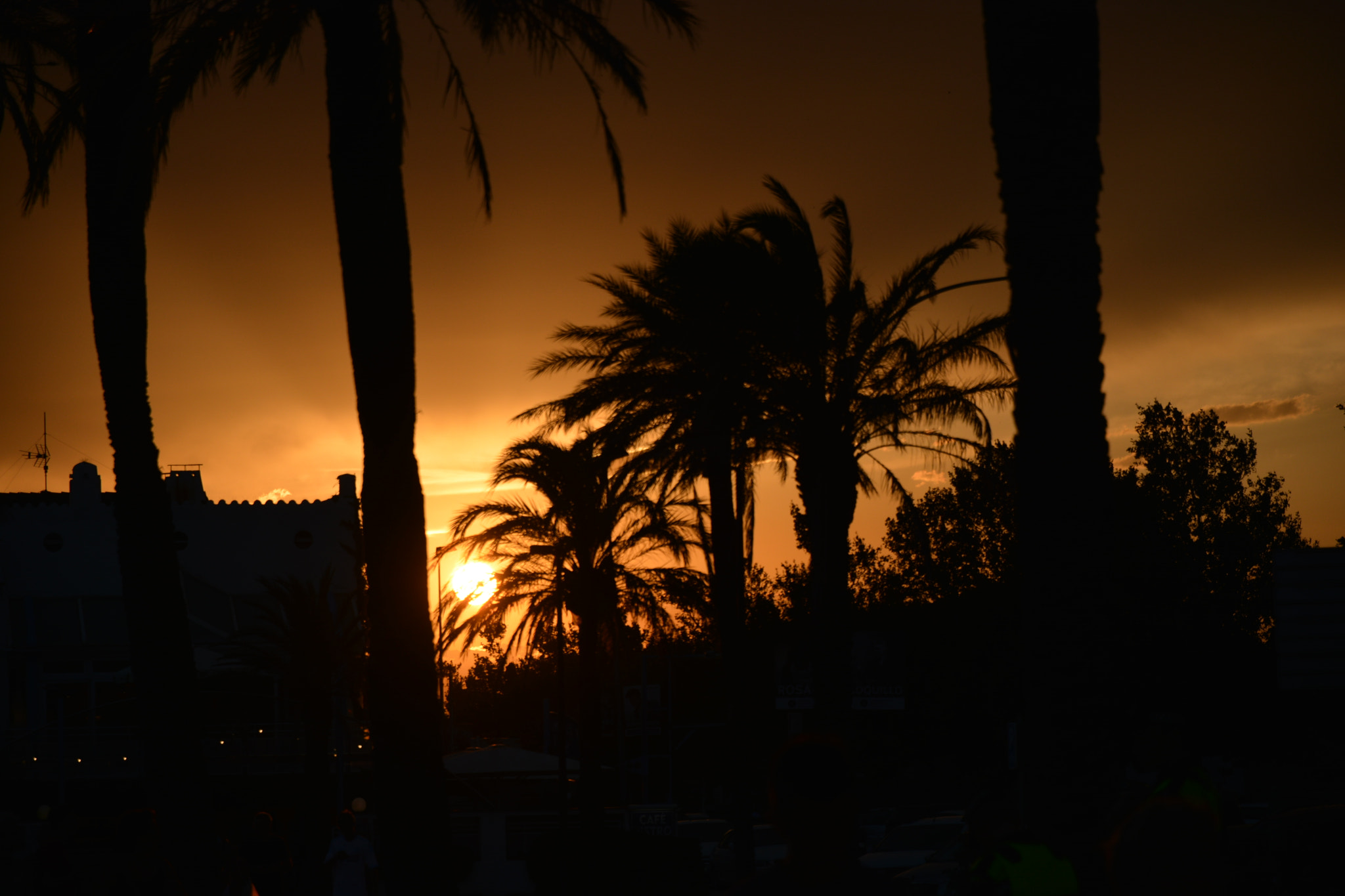 Nikon D5200 sample photo. Dusk photography