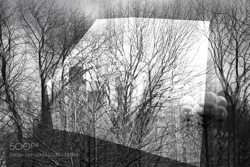 Nikon D3100 sample photo. Window photography