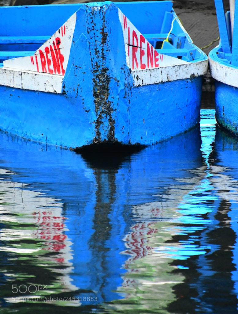 Nikon D500 sample photo. Impresion. photography