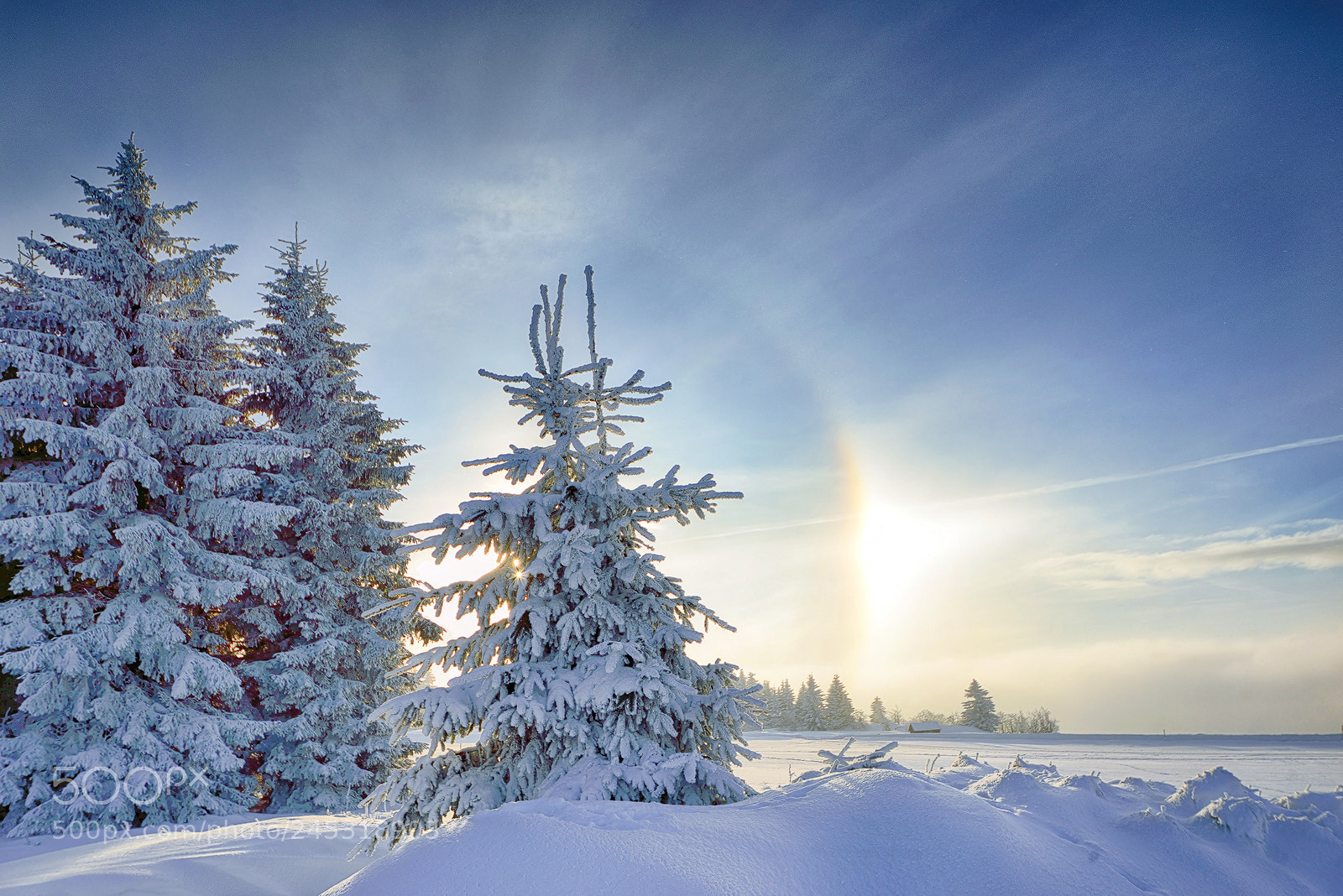 Nikon D800E sample photo. Winter dream photography