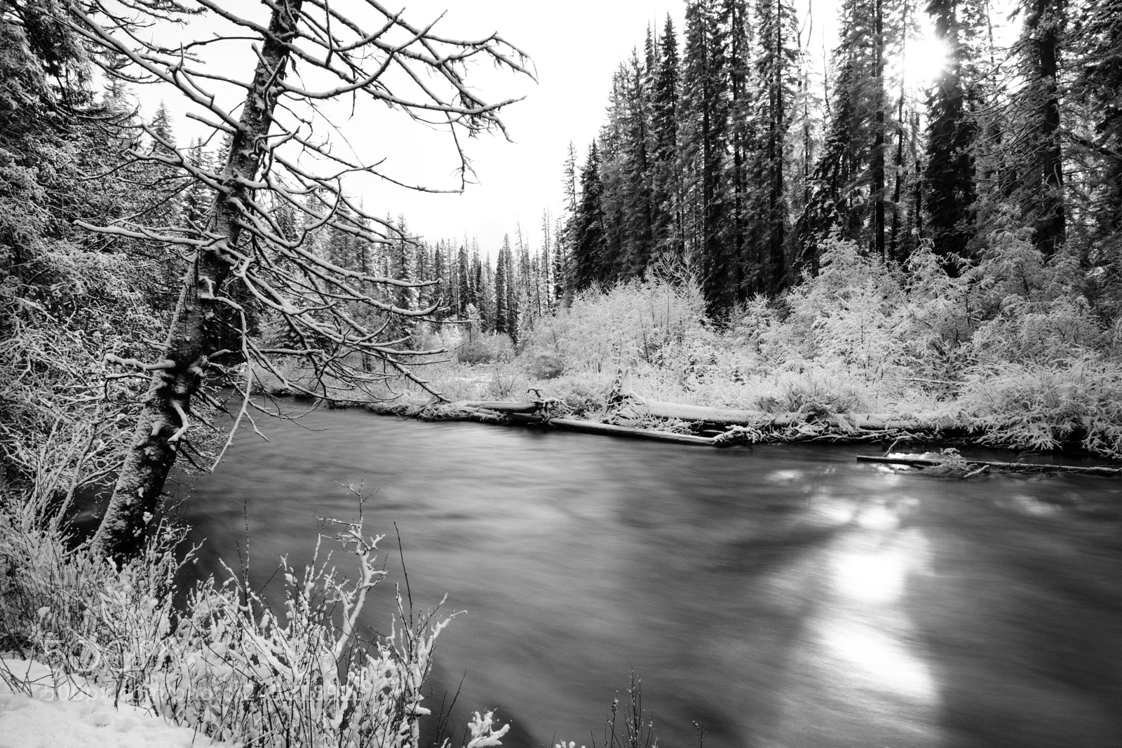 Fujifilm X-Pro2 sample photo. Similkameen river photography