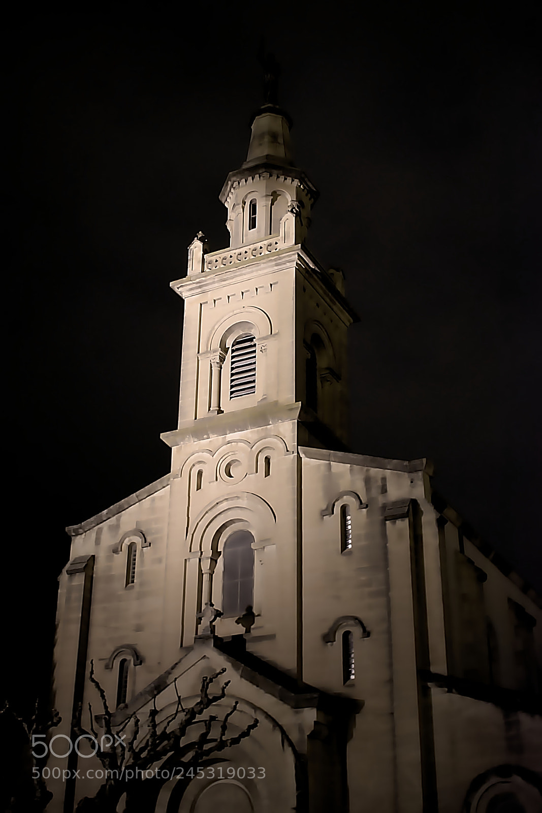 Nikon D5600 sample photo. Church by night photography