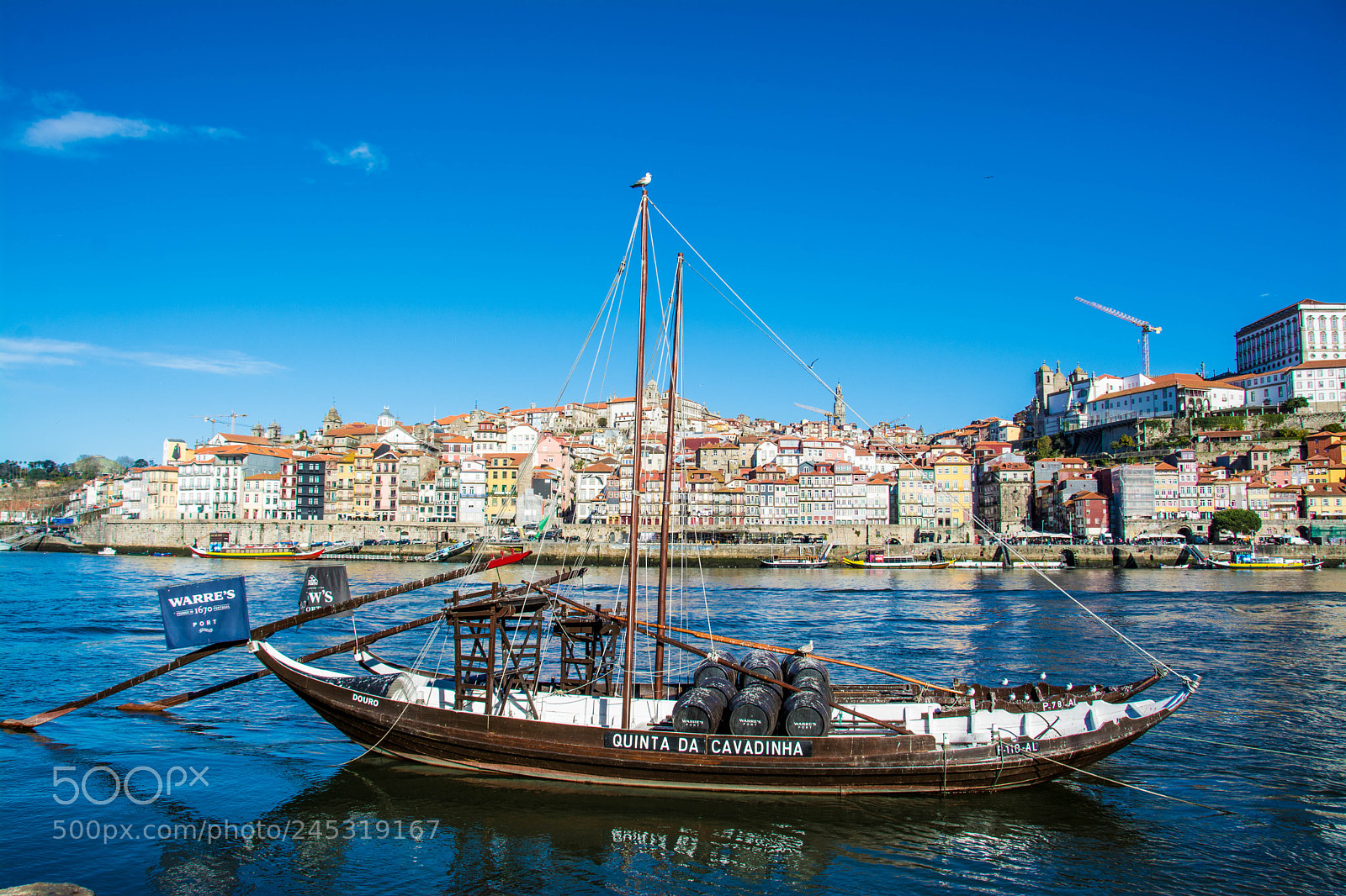Nikon D7100 sample photo. Porto wine boat, cais photography