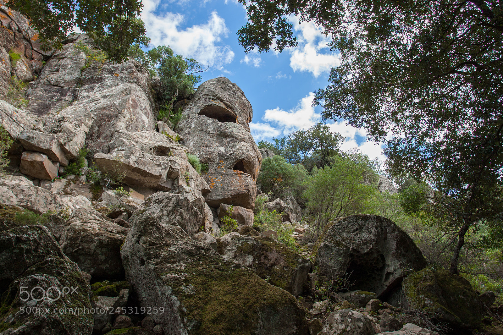 Canon EOS-1D Mark III sample photo. Rock mask photography