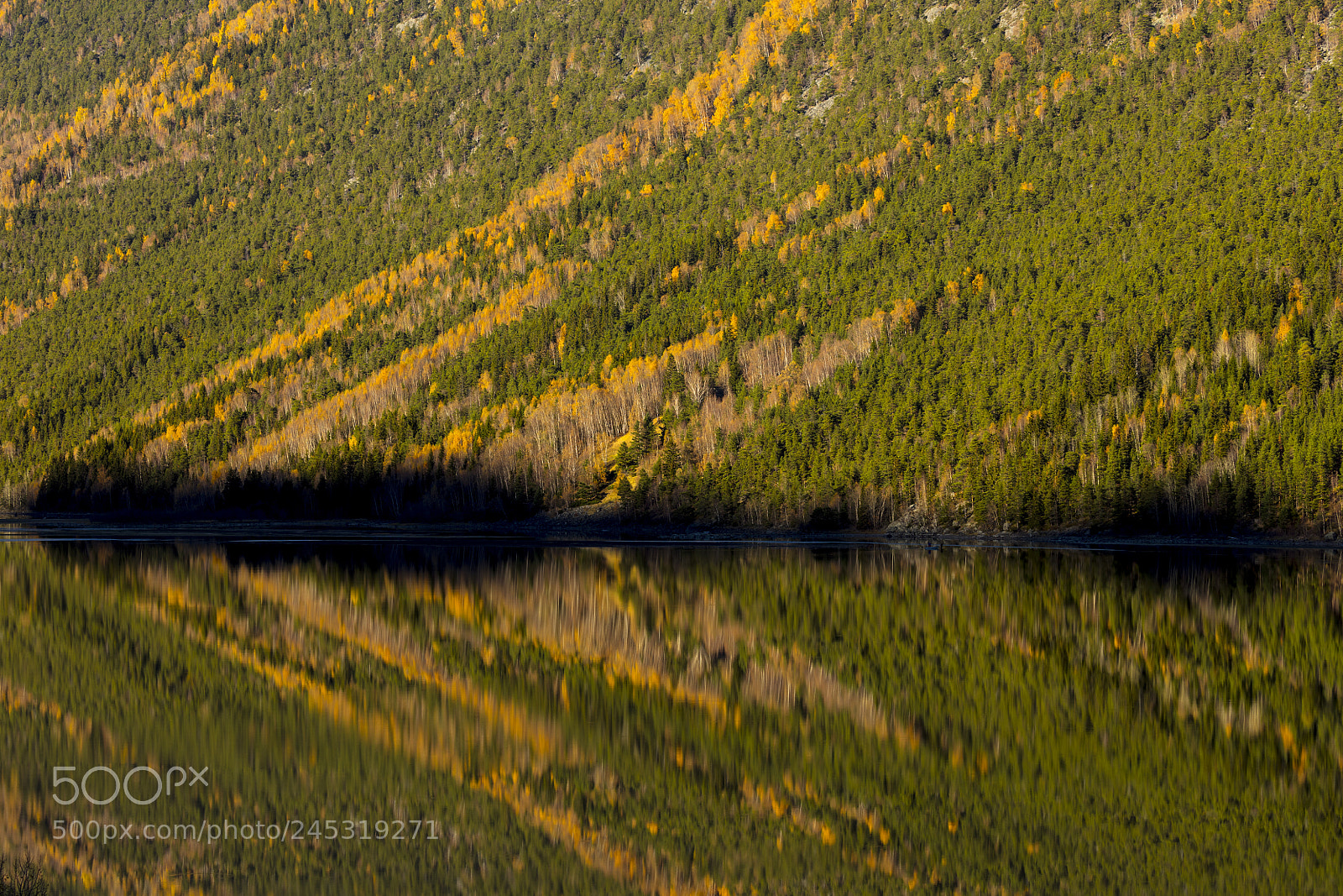 Canon EOS 5DS sample photo. Autumn reflections - norway photography