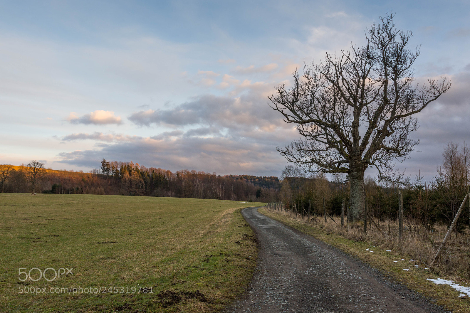 Nikon D7200 sample photo. Path photography