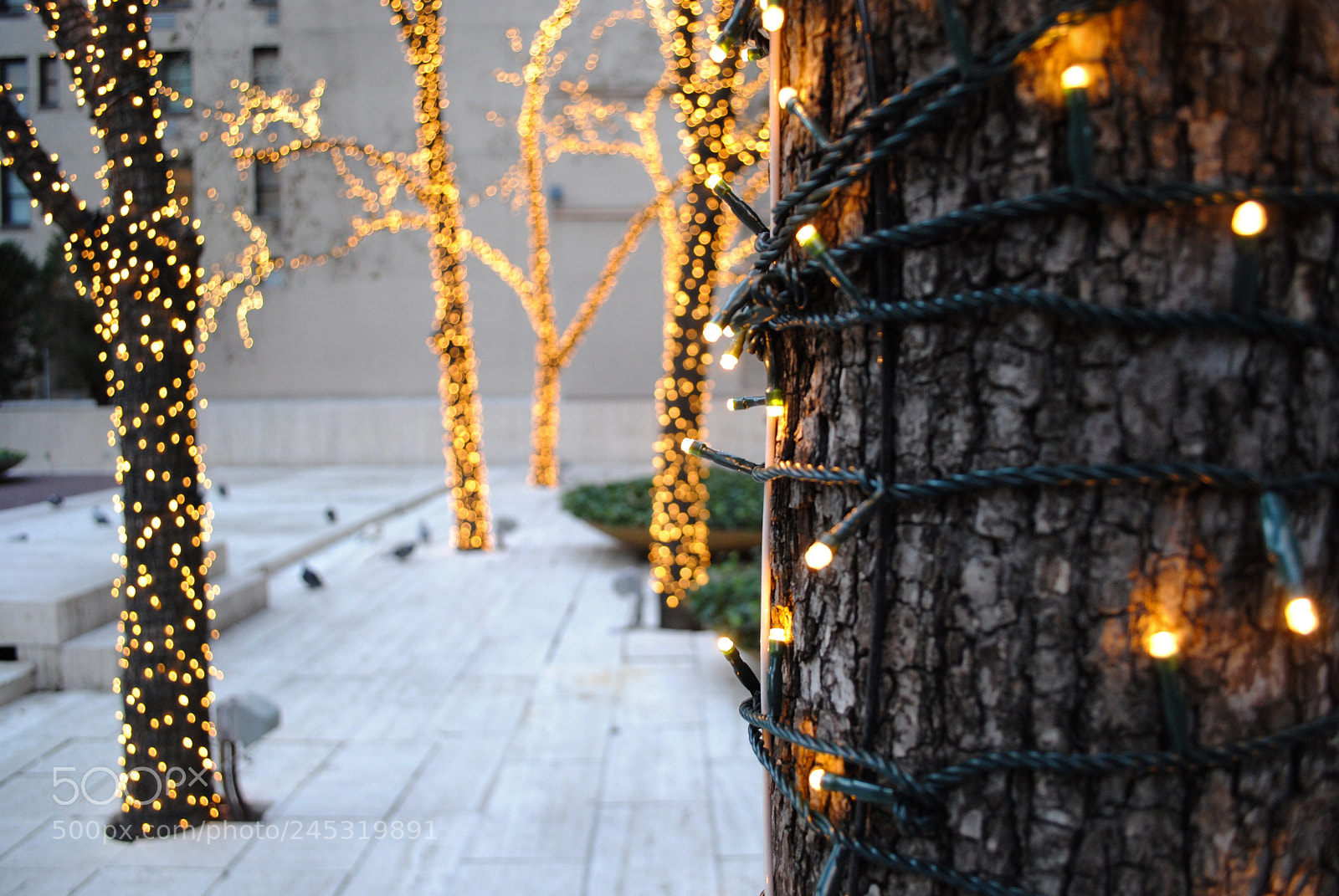 Nikon D3000 sample photo. Lights photography