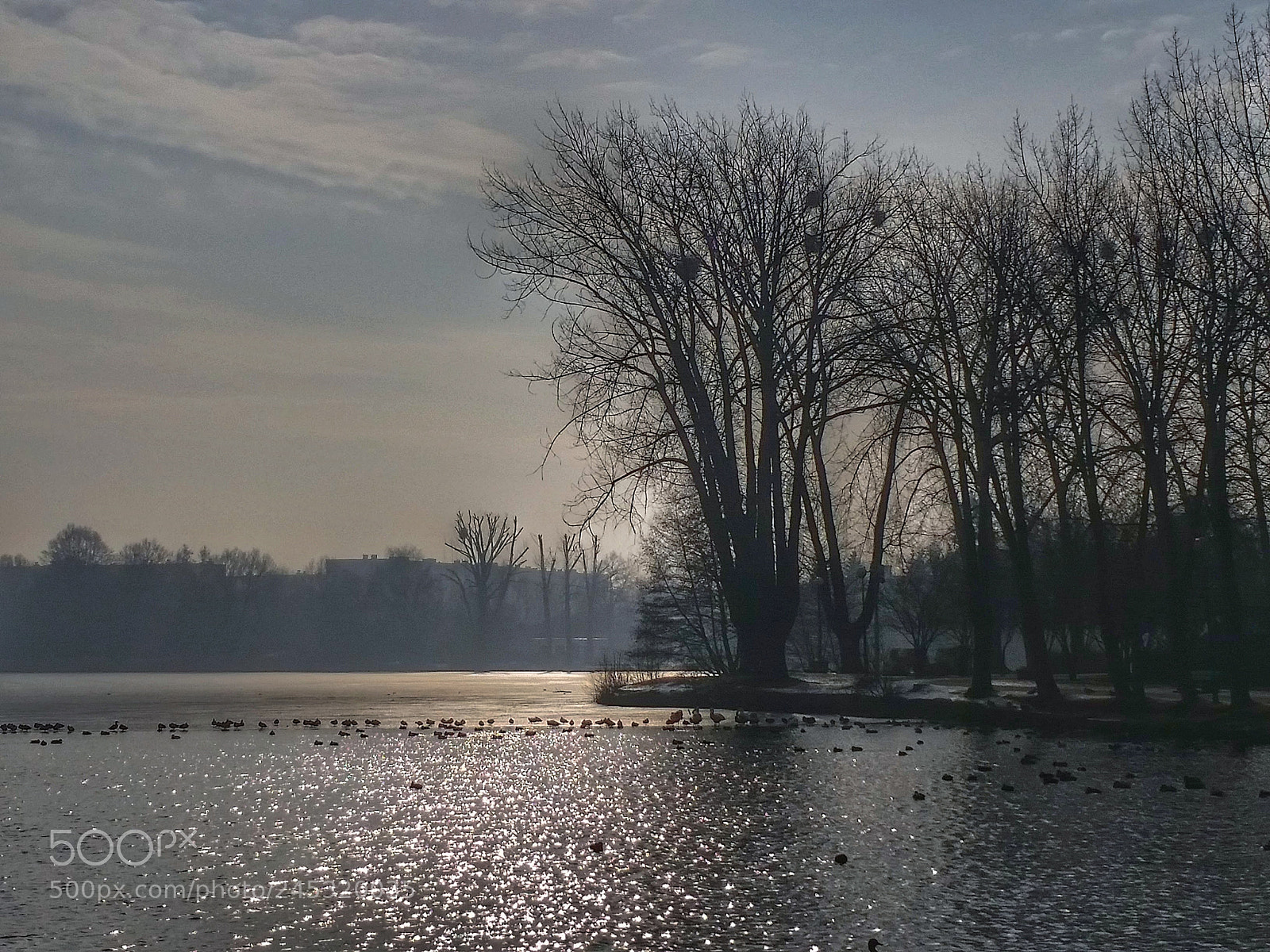 Samsung Galaxy S5 sample photo. ... photography