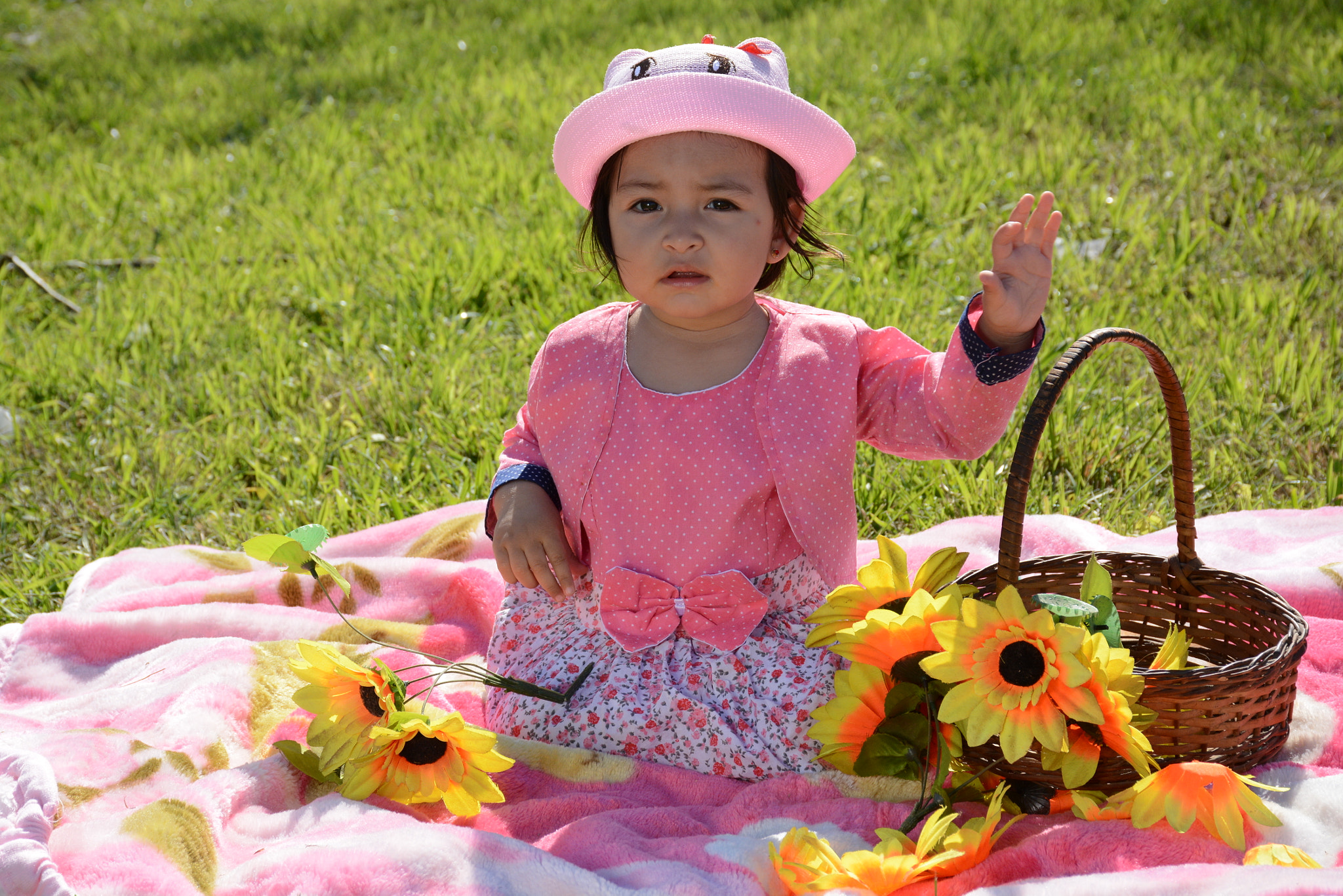 Nikon D5200 sample photo