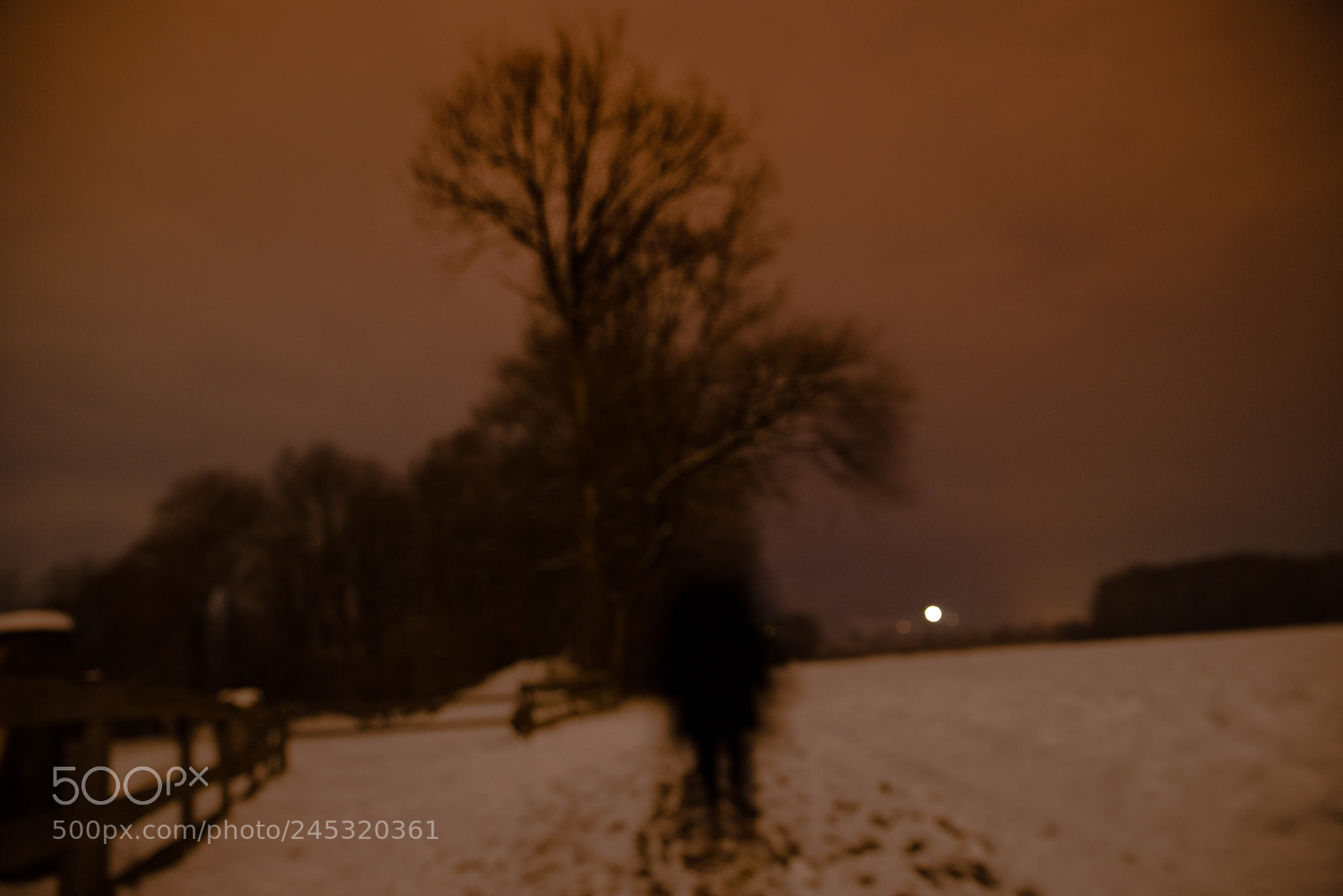 Nikon D610 sample photo. Walking photography