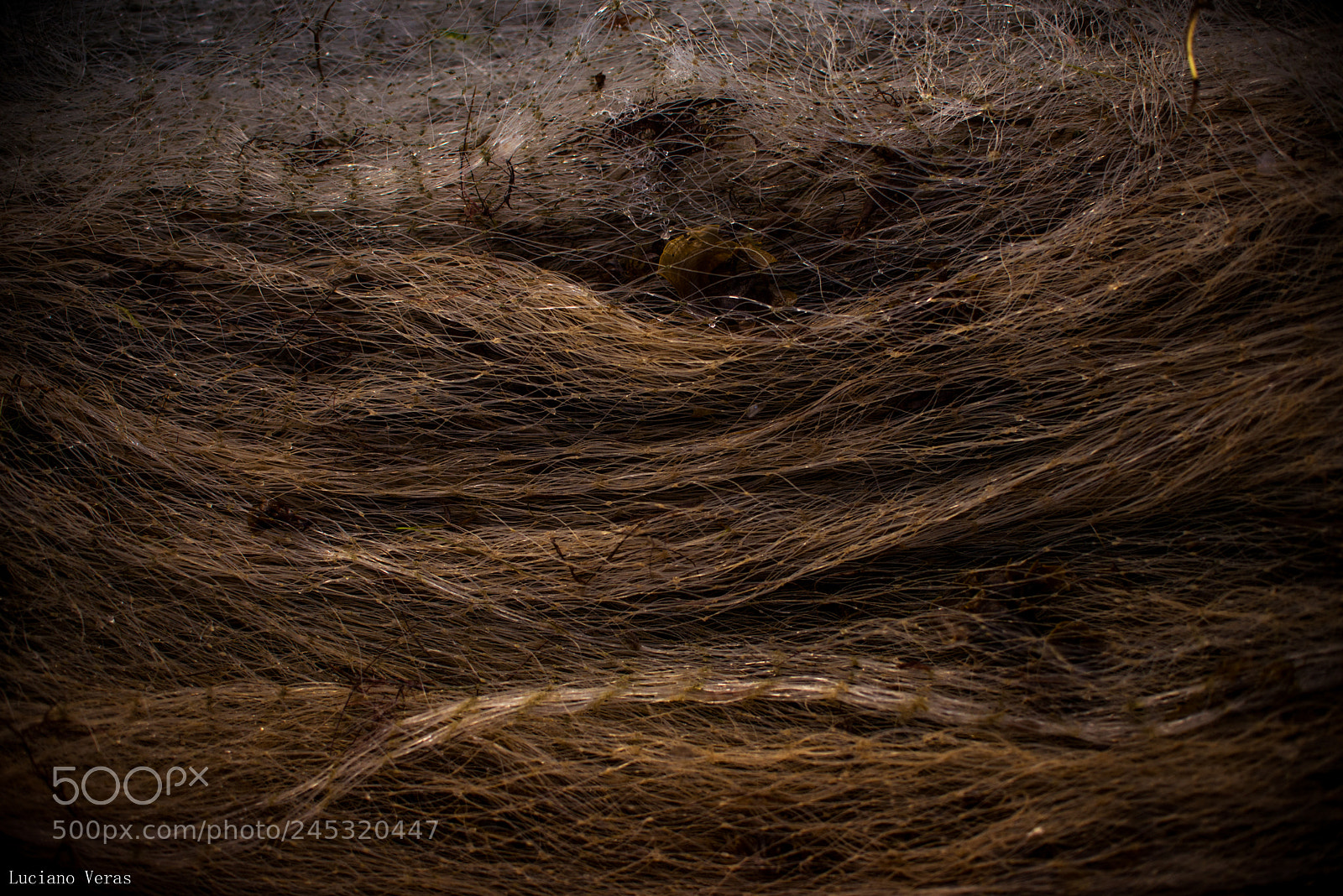 Nikon D610 sample photo. Rede de pesca photography