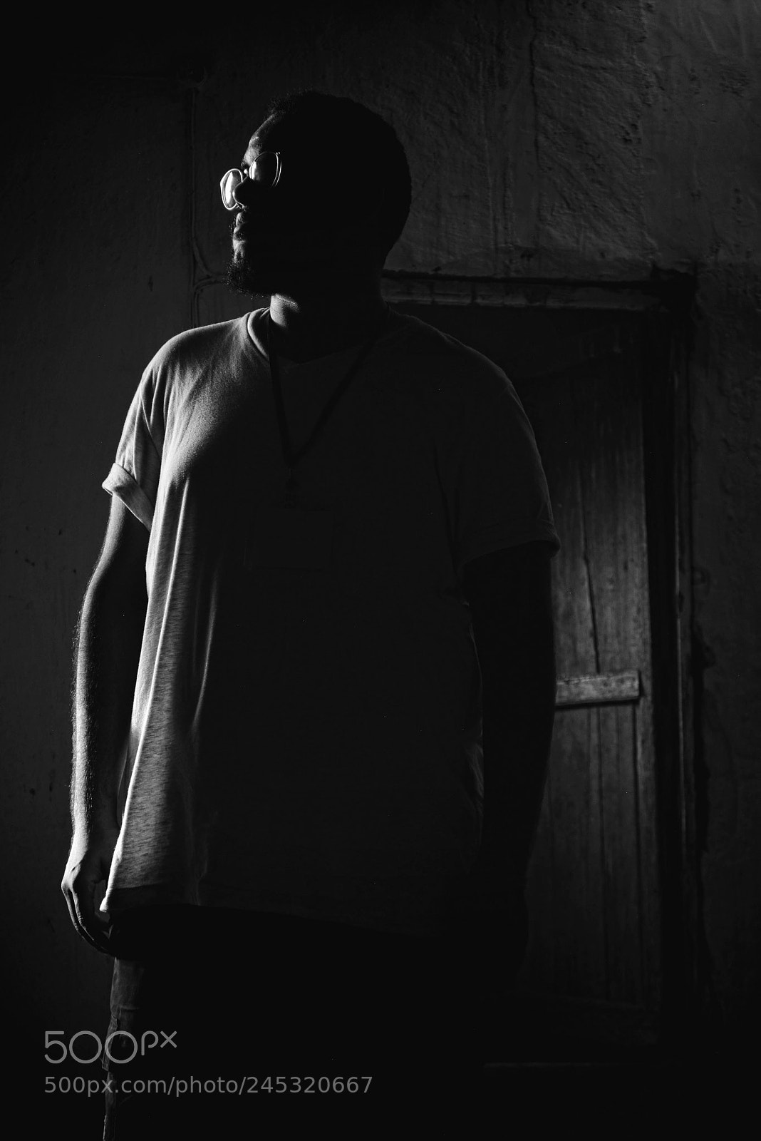 Nikon D5200 sample photo. Shape of you photography