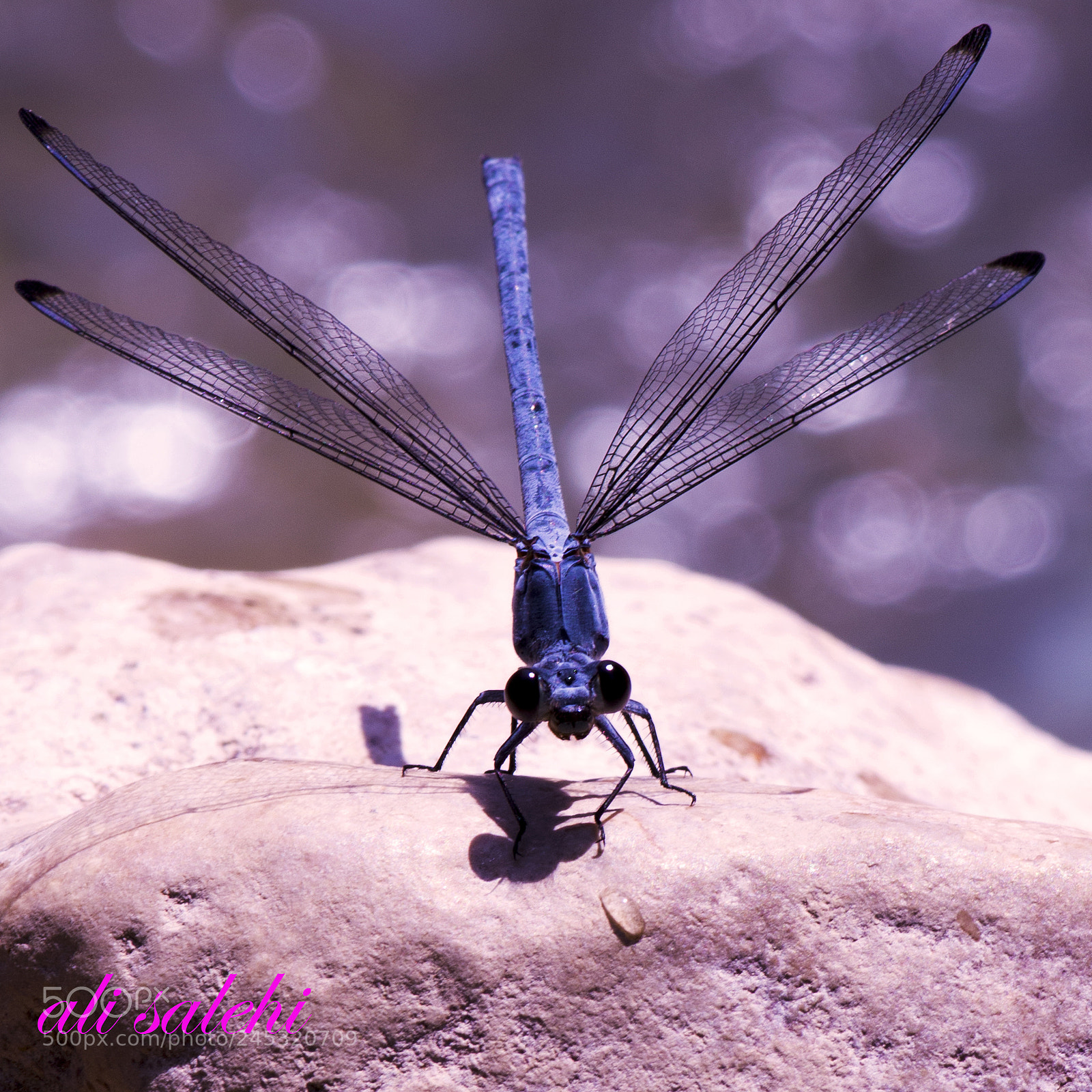 Nikon D7100 sample photo. Das photography